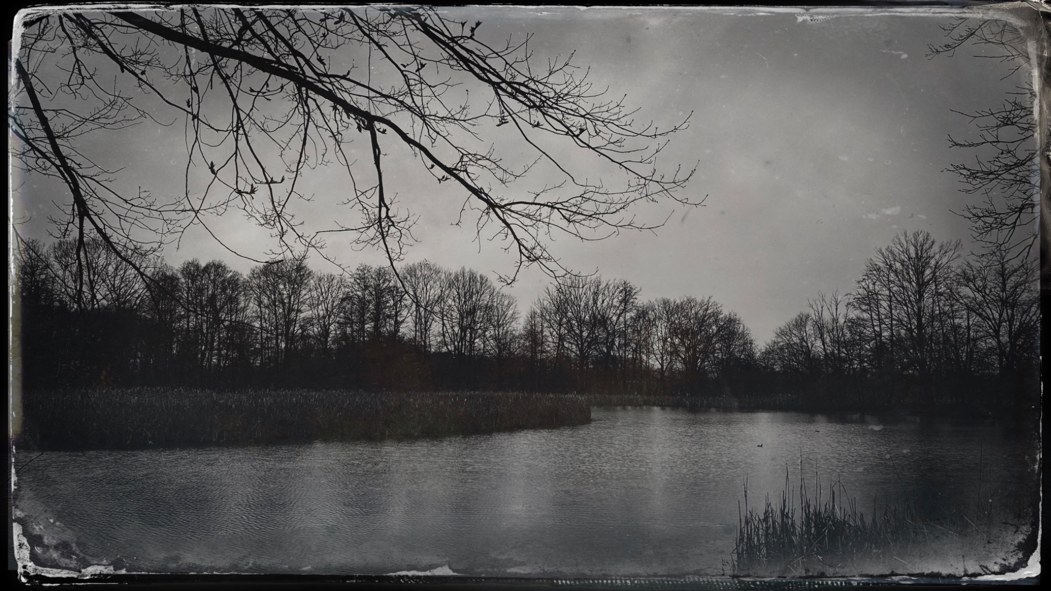 HipstamaticPhoto 765105888.974143