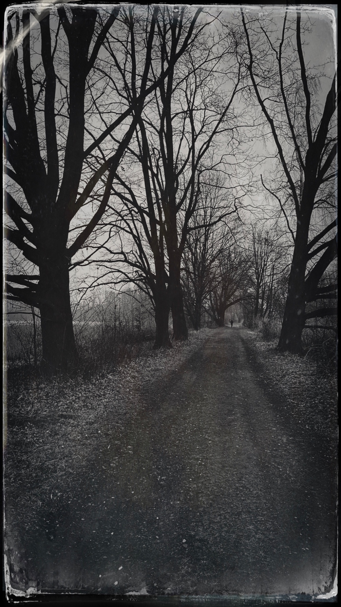 HipstamaticPhoto 765105962.417045