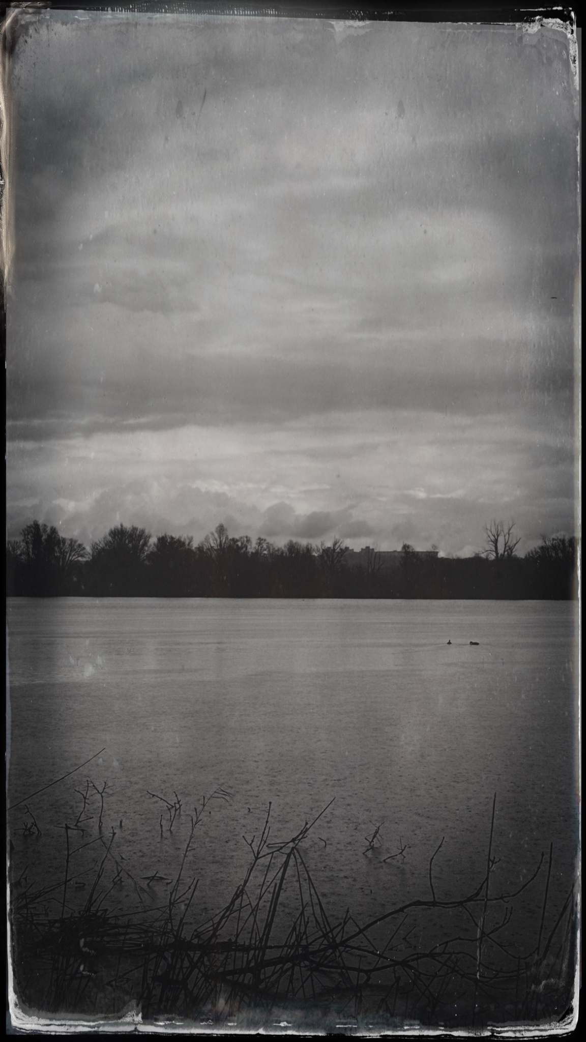 HipstamaticPhoto 765106680.368300