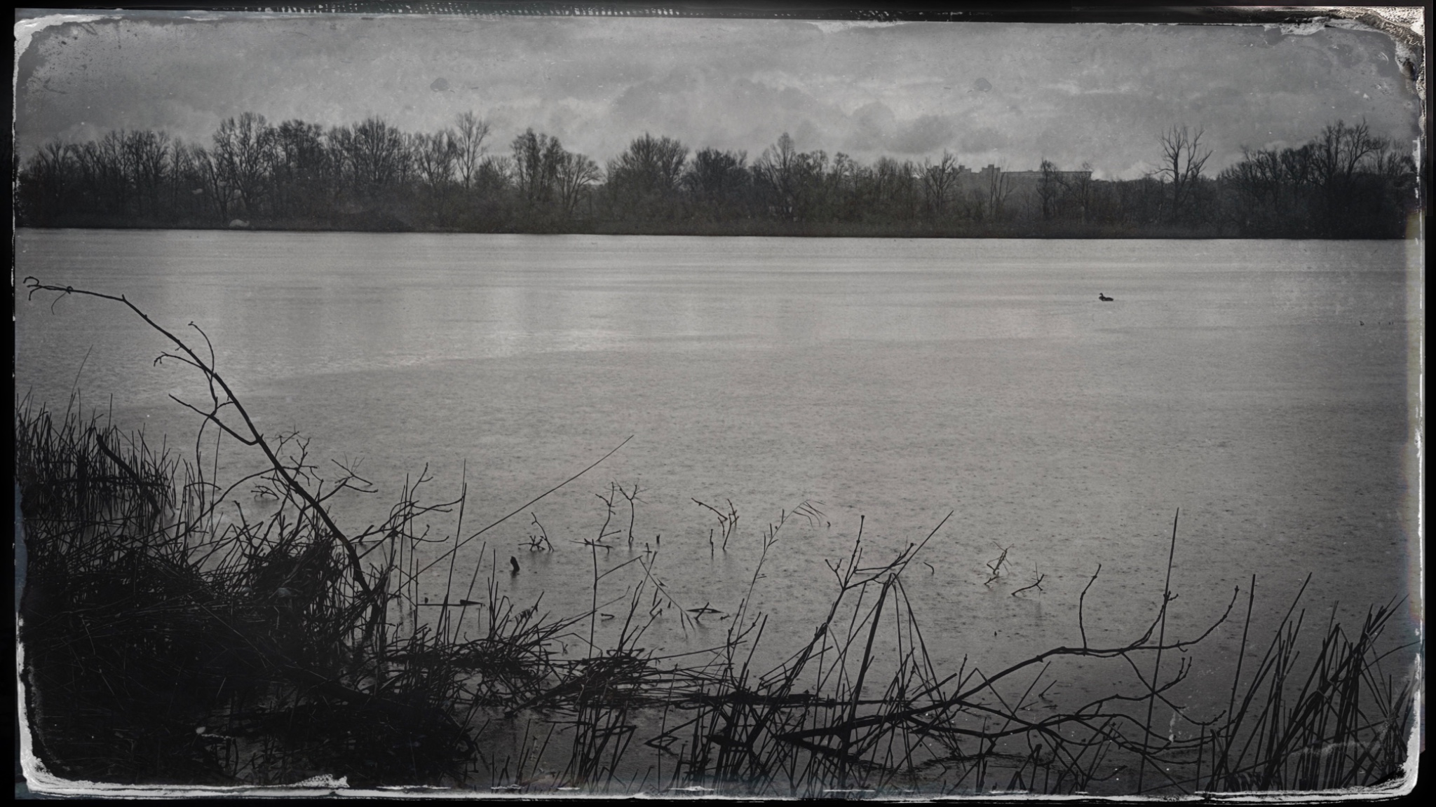 HipstamaticPhoto 765106688.530664