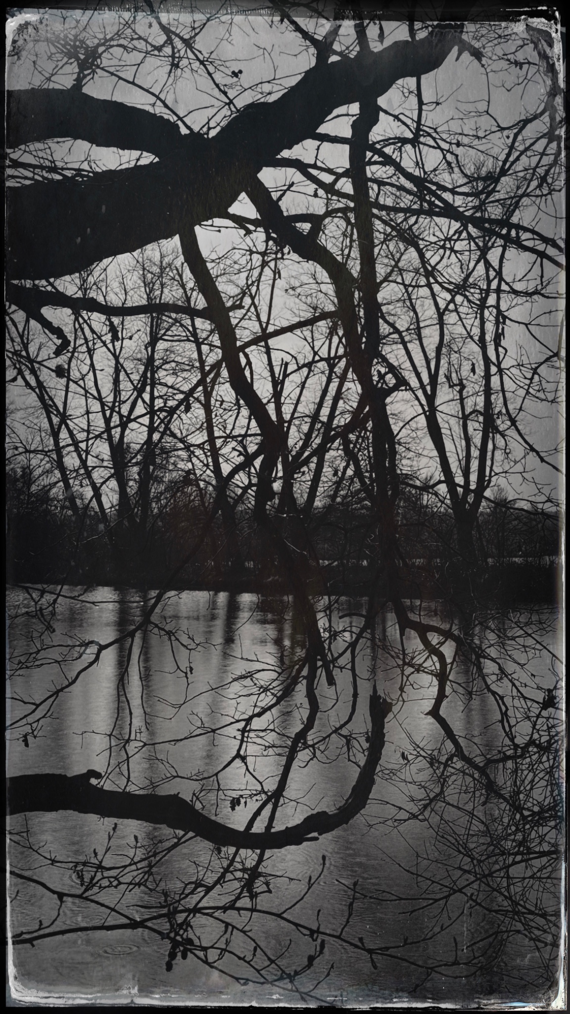 HipstamaticPhoto 765107366.692403