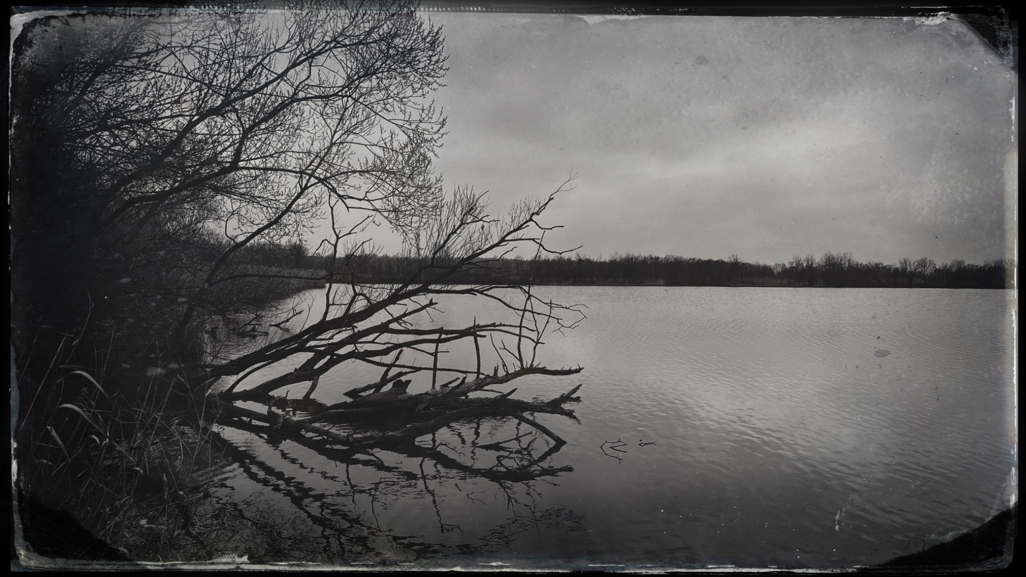 HipstamaticPhoto 765278490.762232