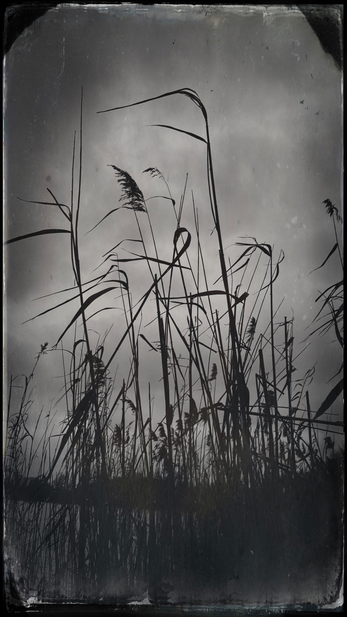 HipstamaticPhoto 765278532.191887