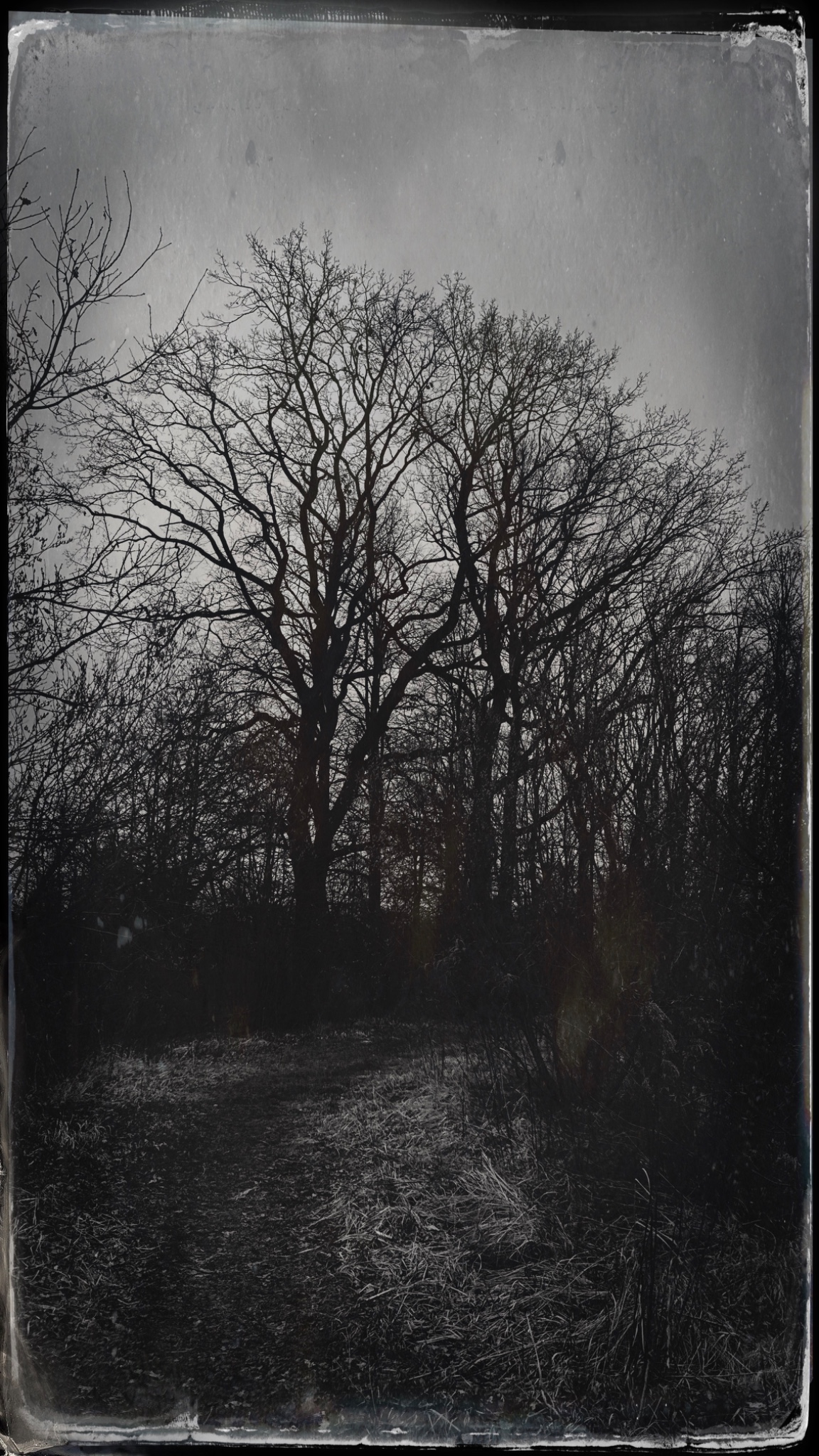 HipstamaticPhoto 765278929.879248