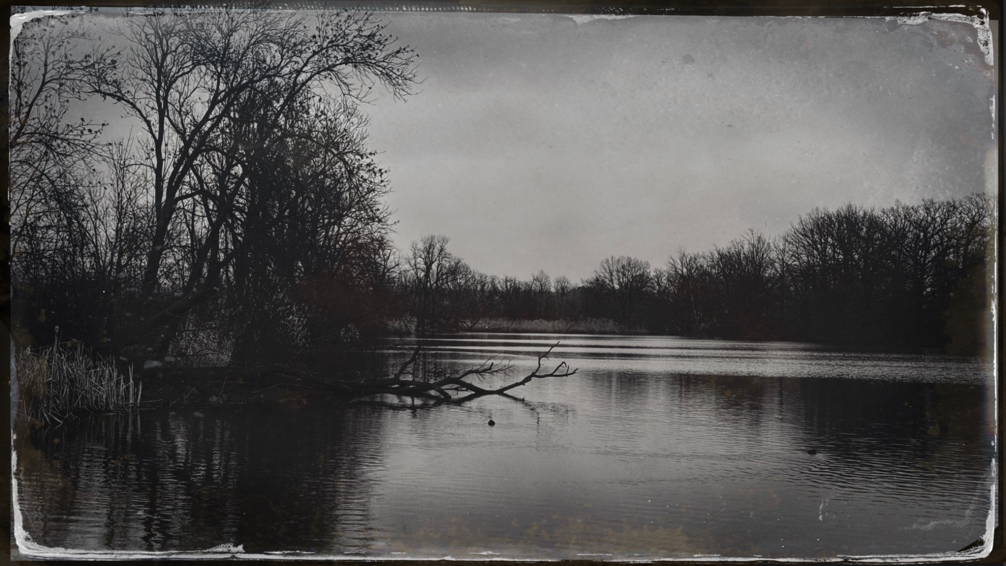 HipstamaticPhoto 765279854.906467