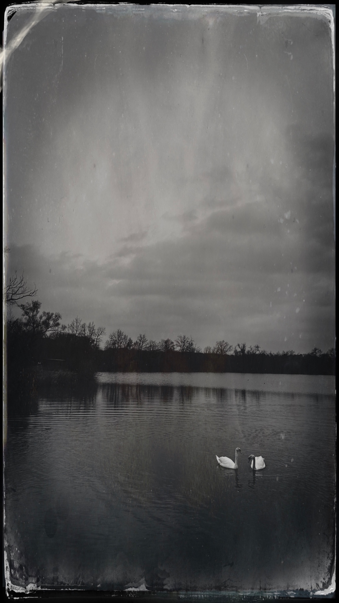 HipstamaticPhoto 765280732.661911