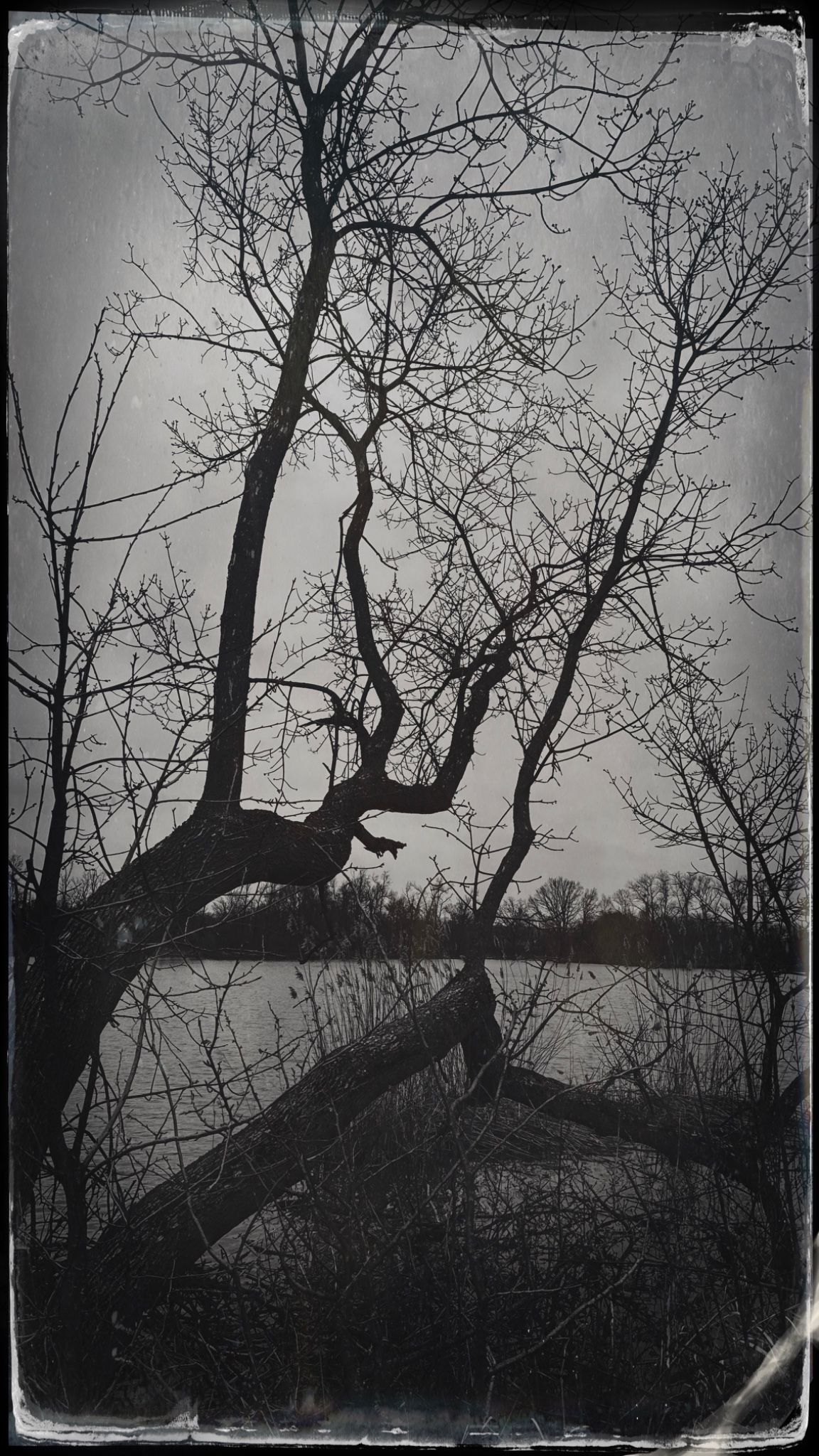 HipstamaticPhoto 765280891.314626