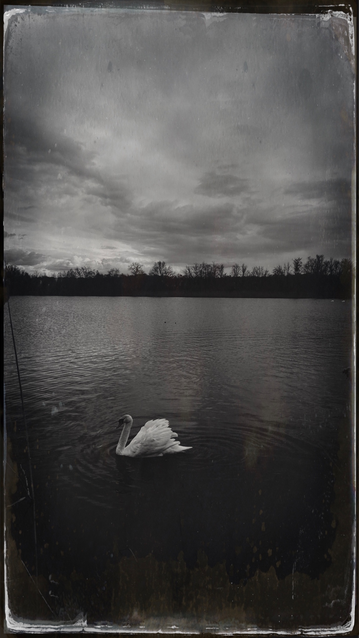 HipstamaticPhoto 765731980.017932