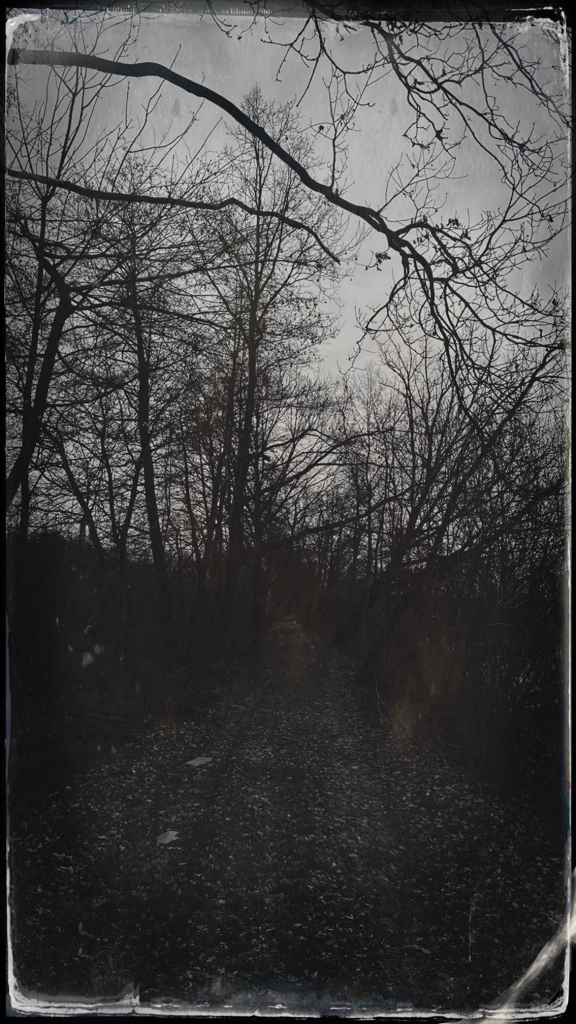 HipstamaticPhoto 765732573.442463