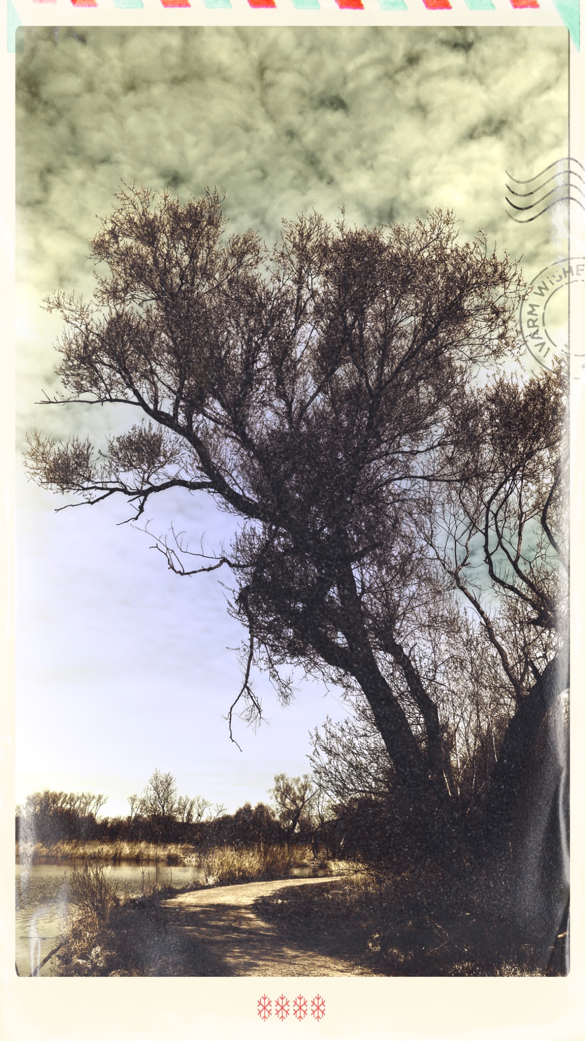 HipstamaticPhoto 765883876.331248