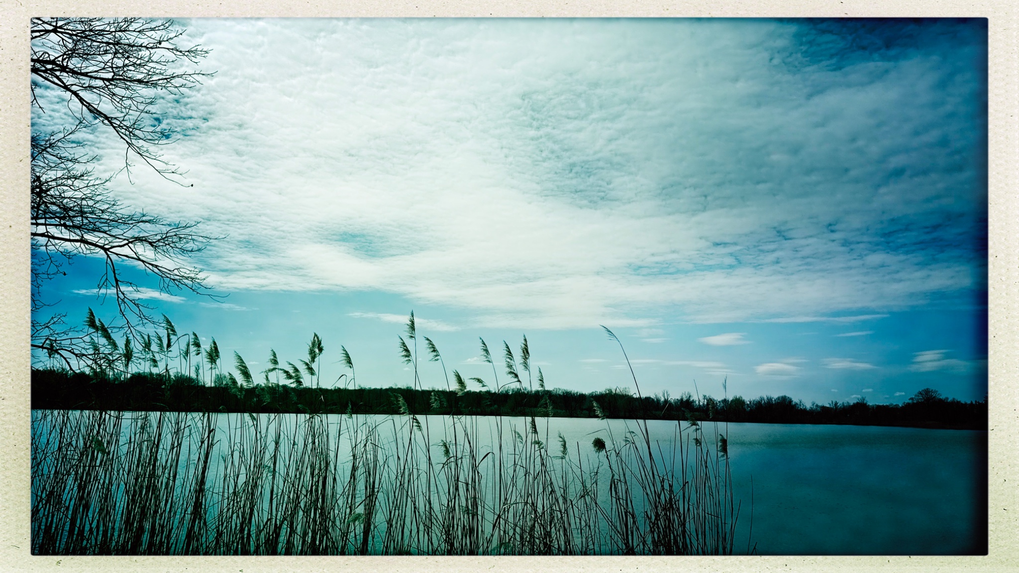 HipstamaticPhoto 765886189.349335