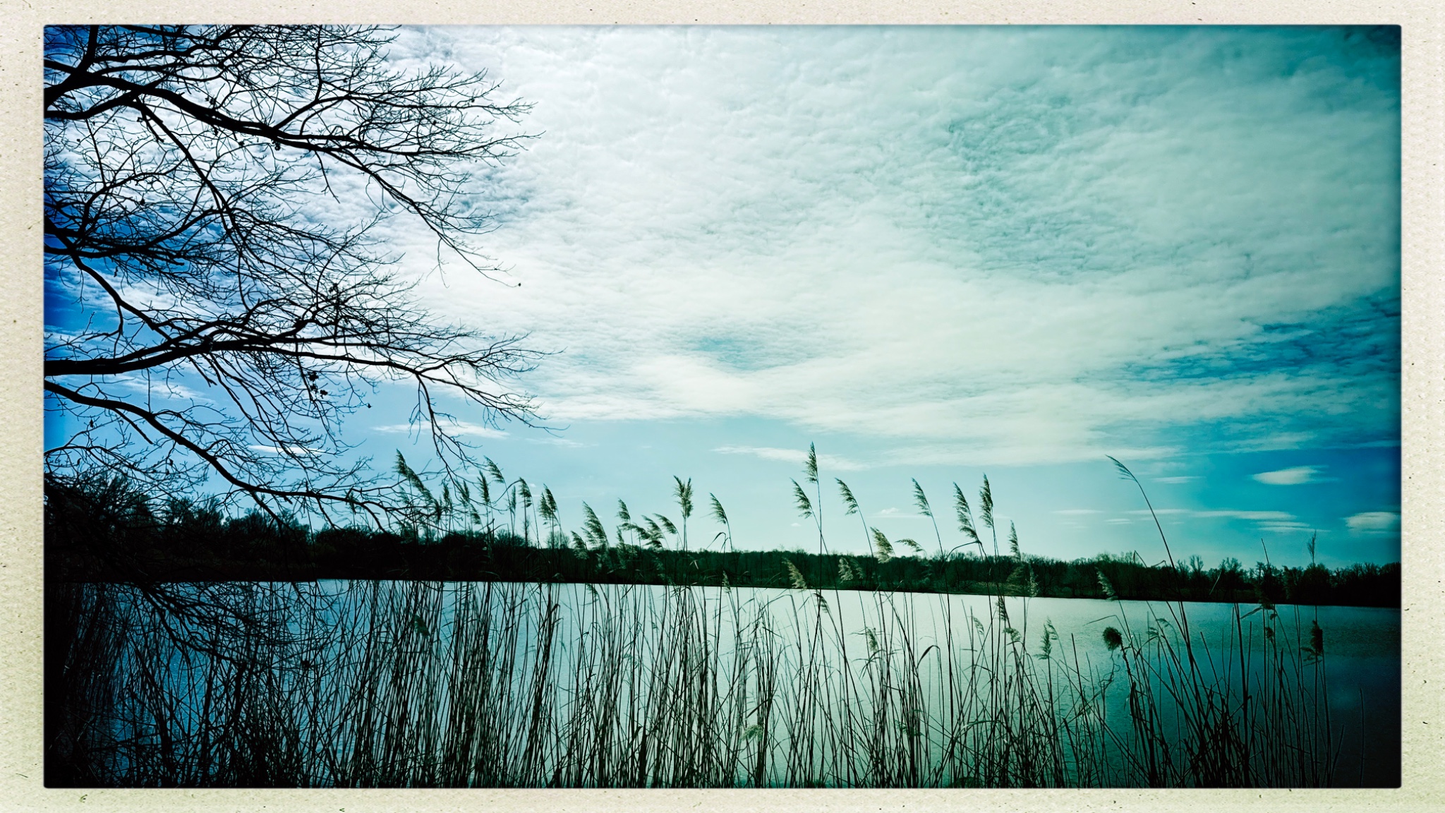 HipstamaticPhoto 765886193.595268