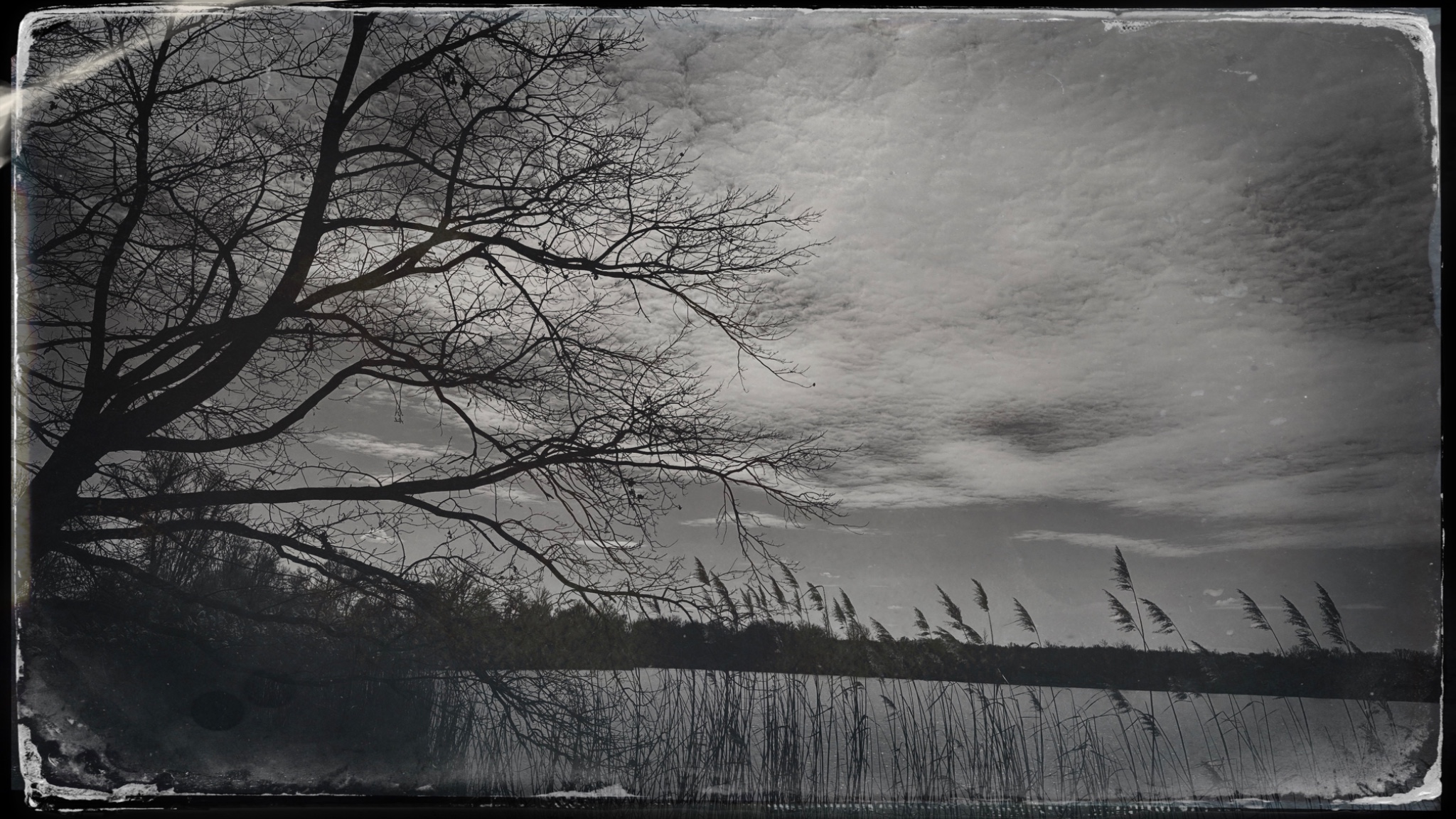 HipstamaticPhoto 765886216.946757