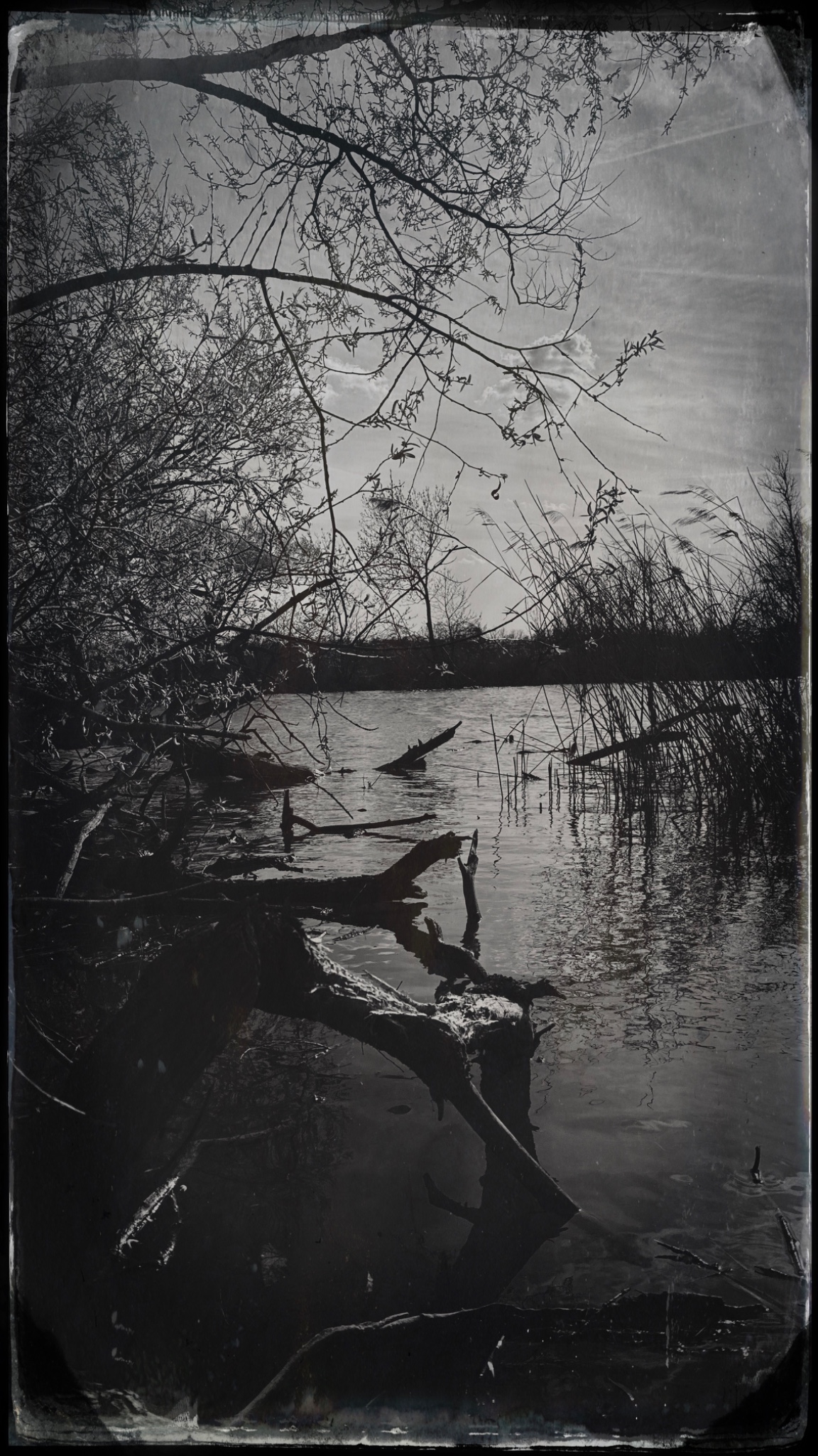 HipstamaticPhoto 765987969.330785