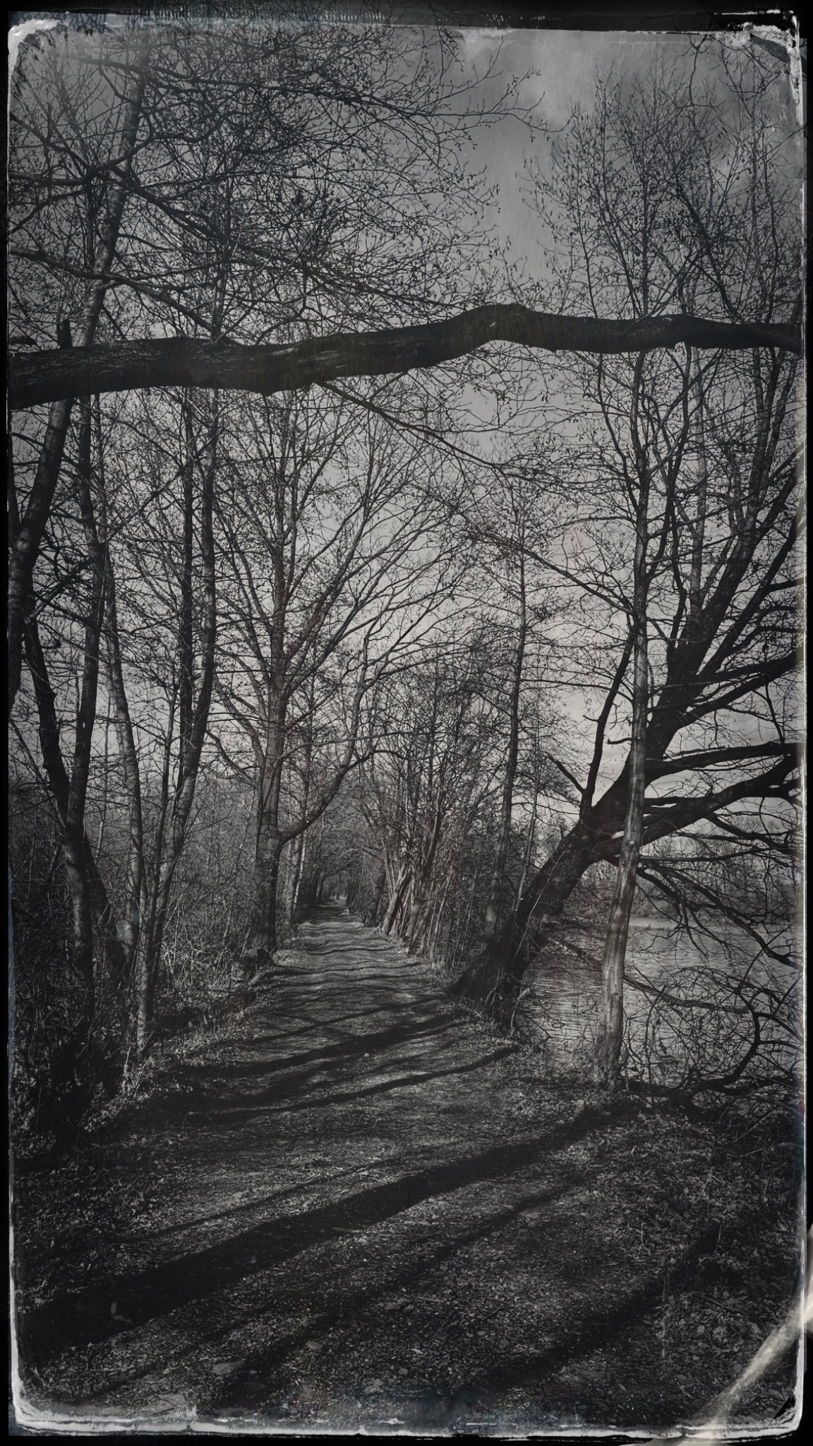 HipstamaticPhoto 765988730.161923