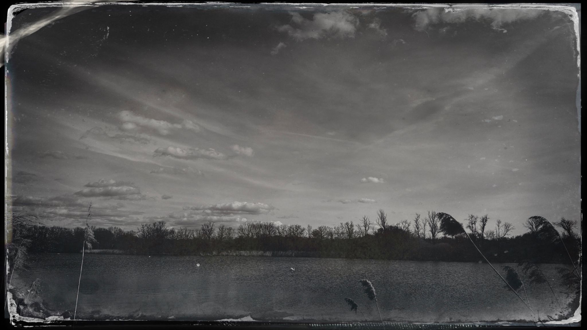 HipstamaticPhoto 765989513.544040