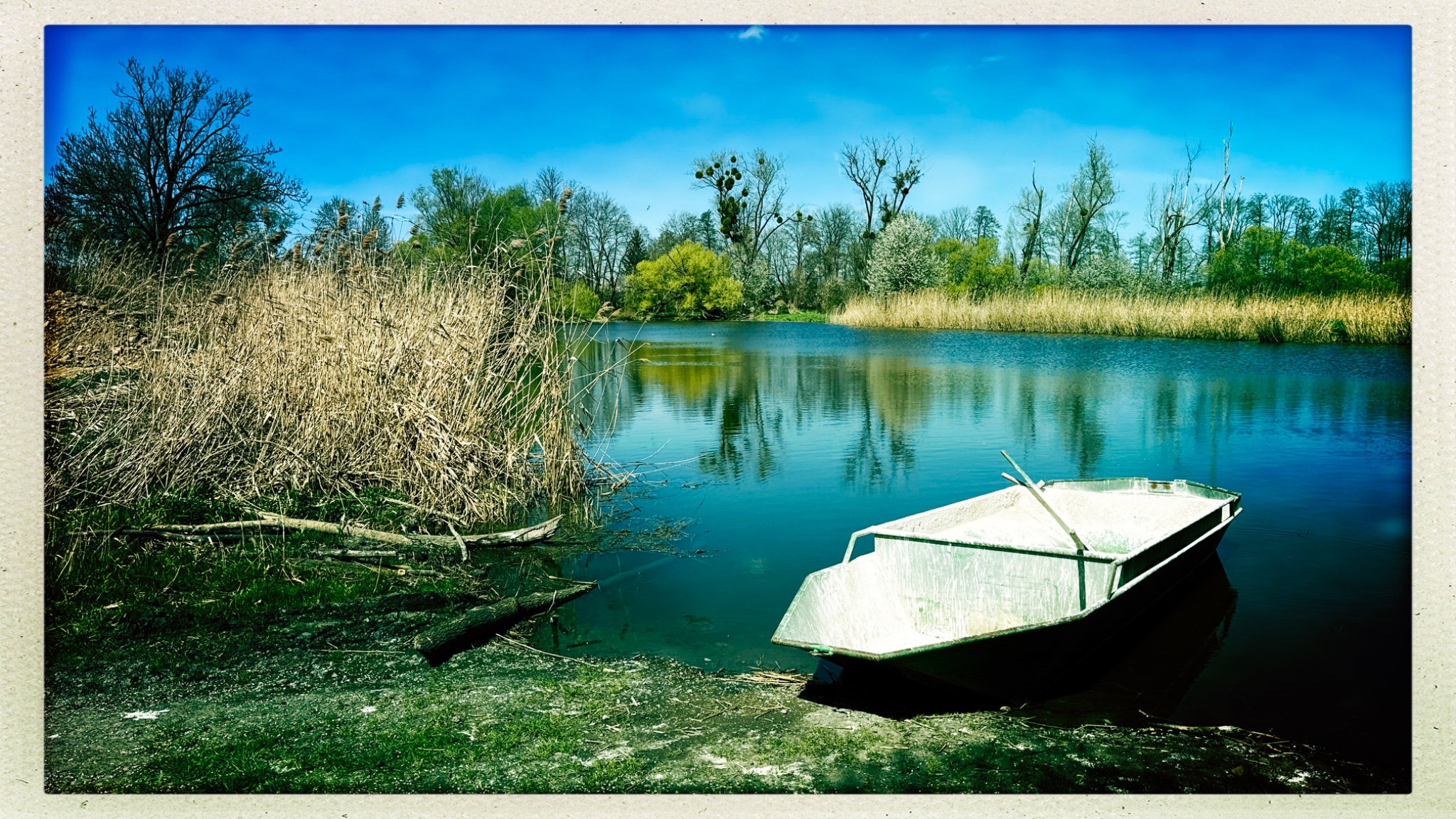 HipstamaticPhoto 766492004.534087