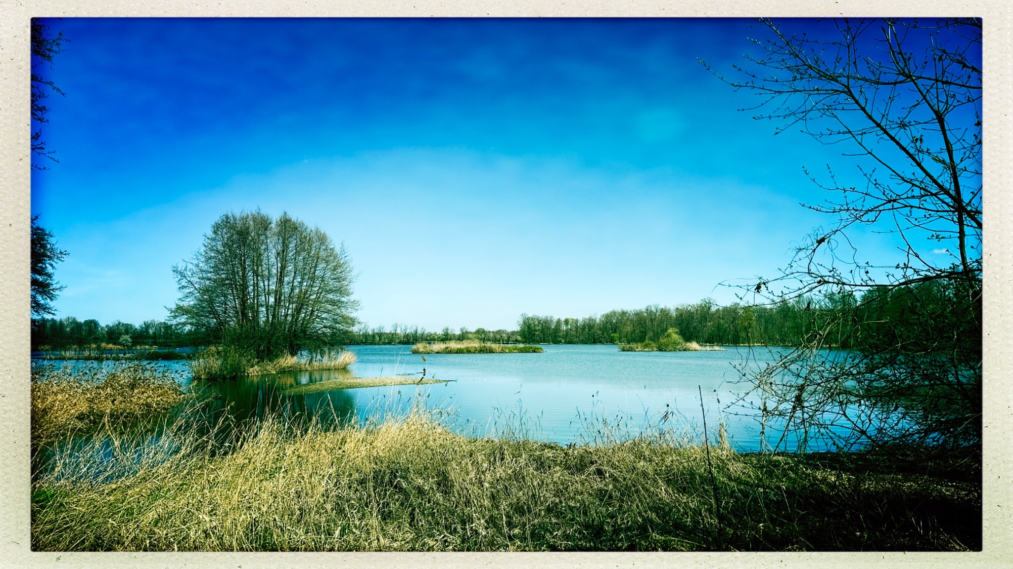 HipstamaticPhoto 766492416.943571