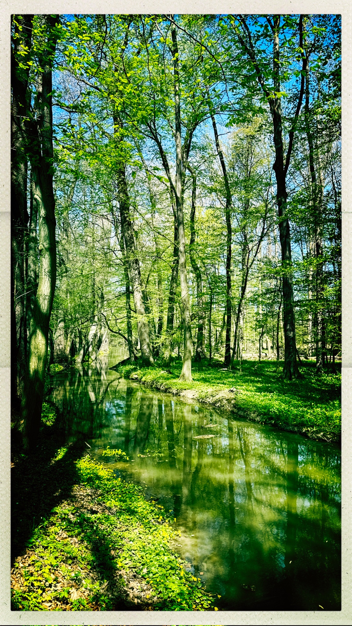 HipstamaticPhoto 766493020.853815