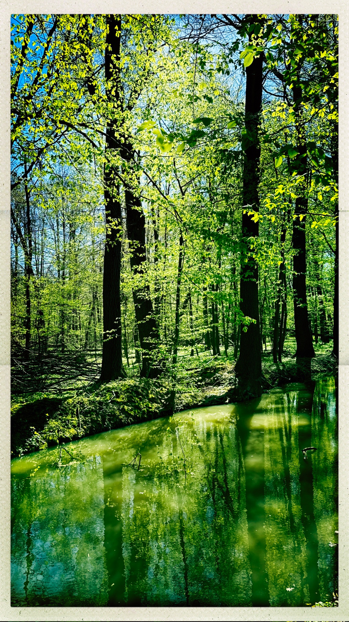 HipstamaticPhoto 766493030.619630