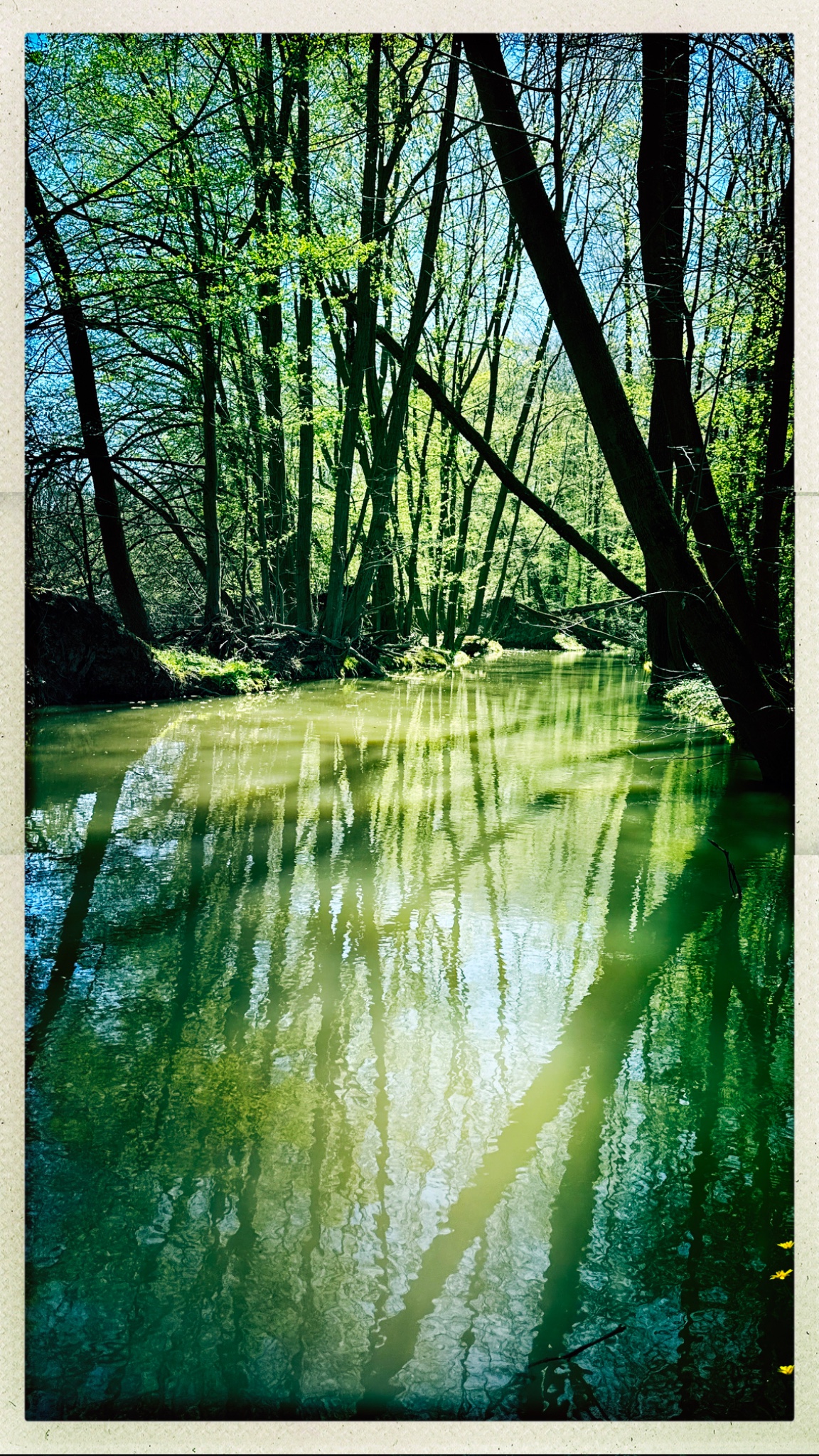 HipstamaticPhoto 766493294.731405