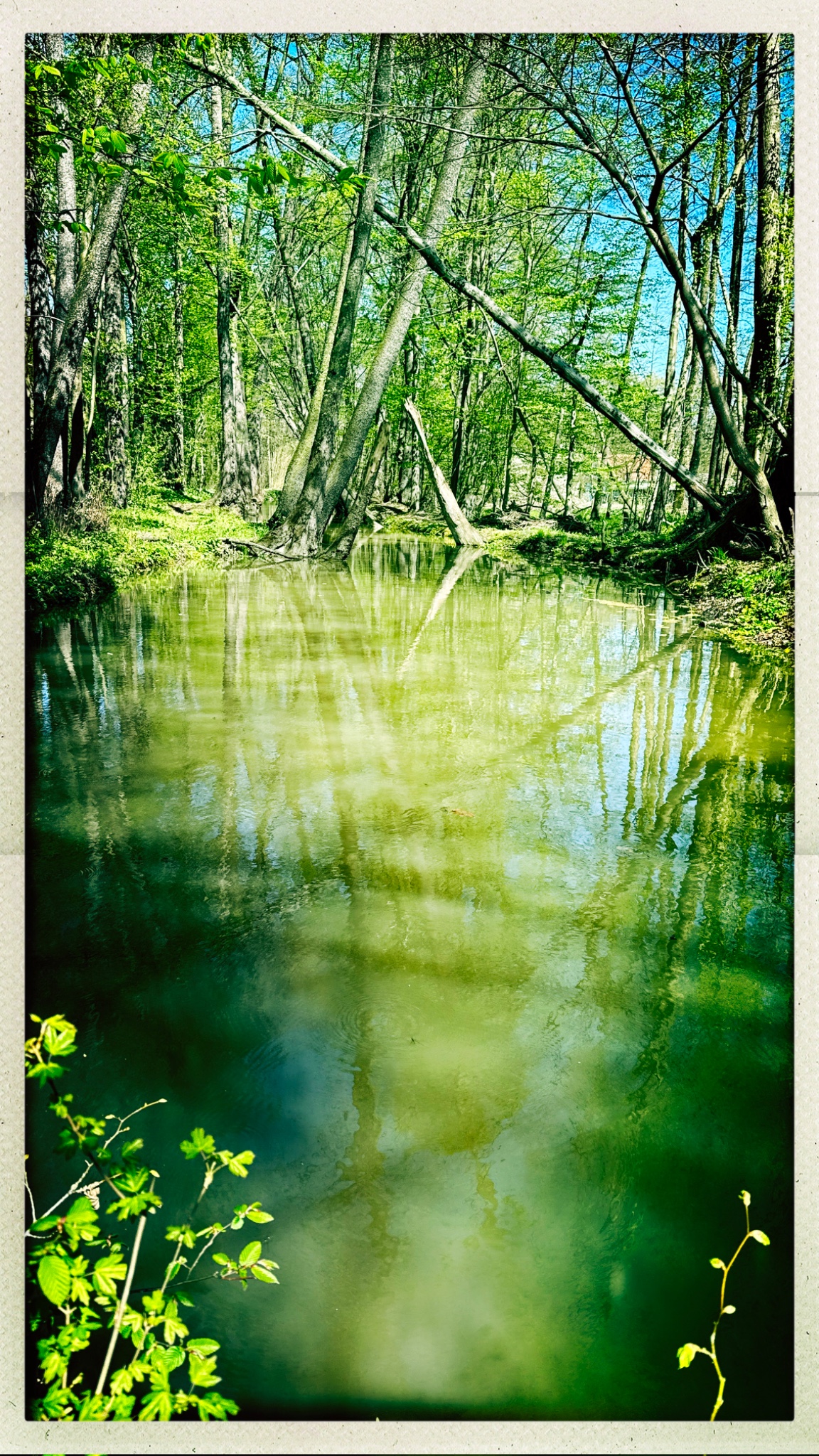 HipstamaticPhoto 766493303.559856