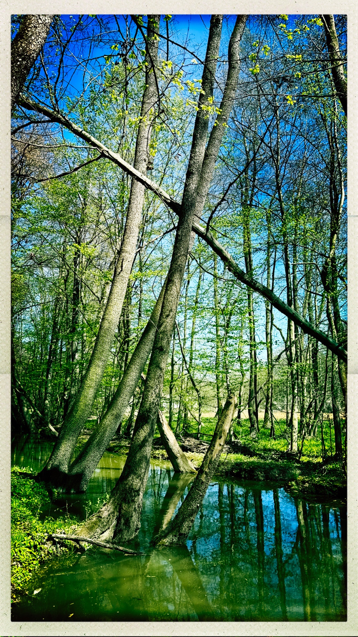 HipstamaticPhoto 766493325.510439