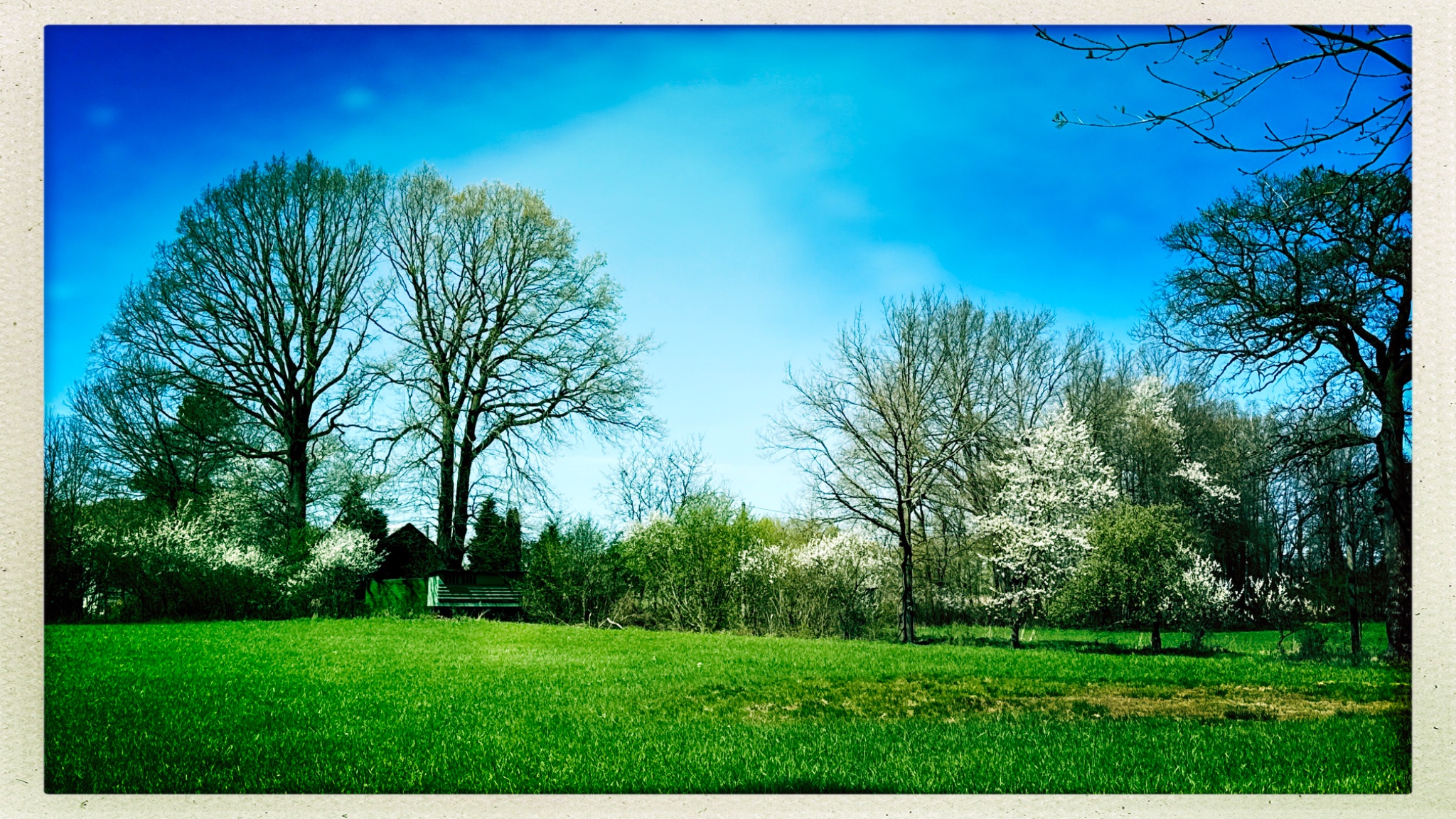 HipstamaticPhoto 766493501.030540