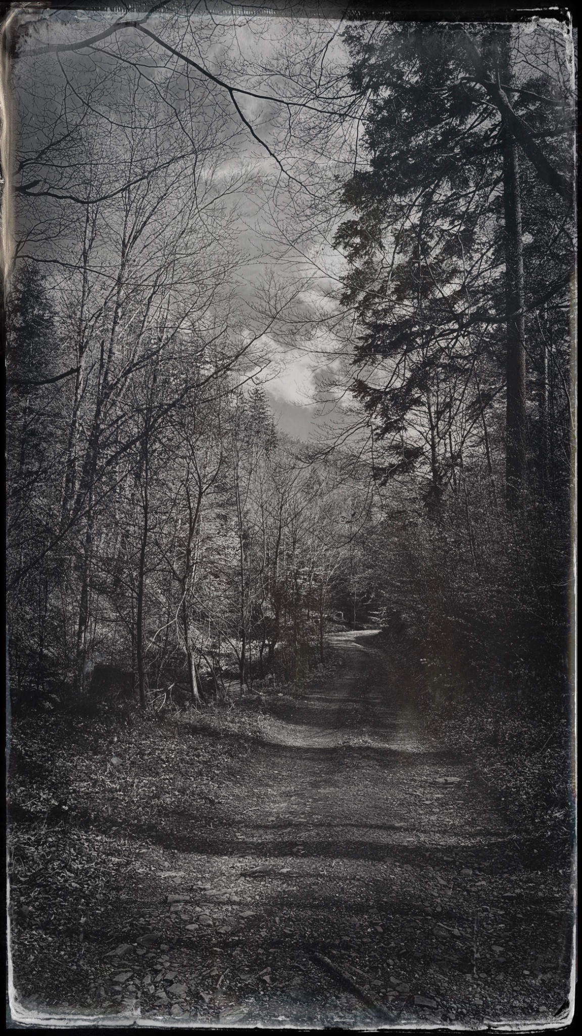 HipstamaticPhoto 766764167.453734