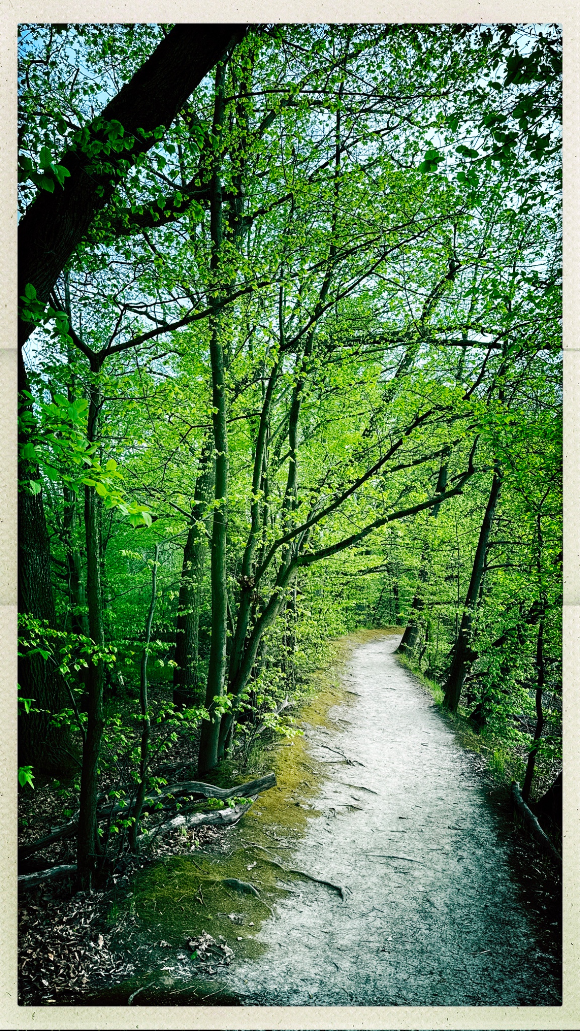 HipstamaticPhoto 766938349.603800