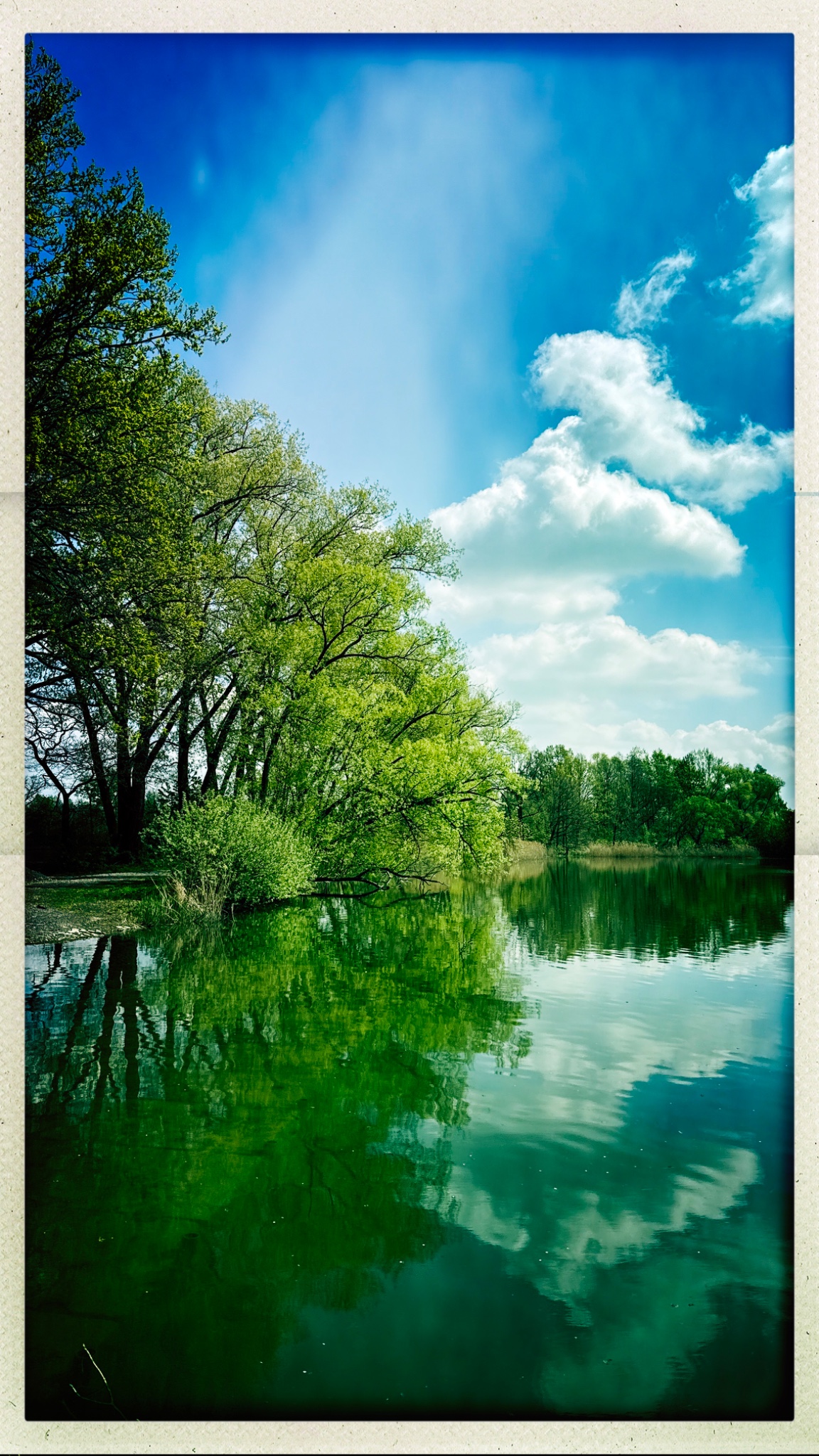 HipstamaticPhoto 767008695.950767