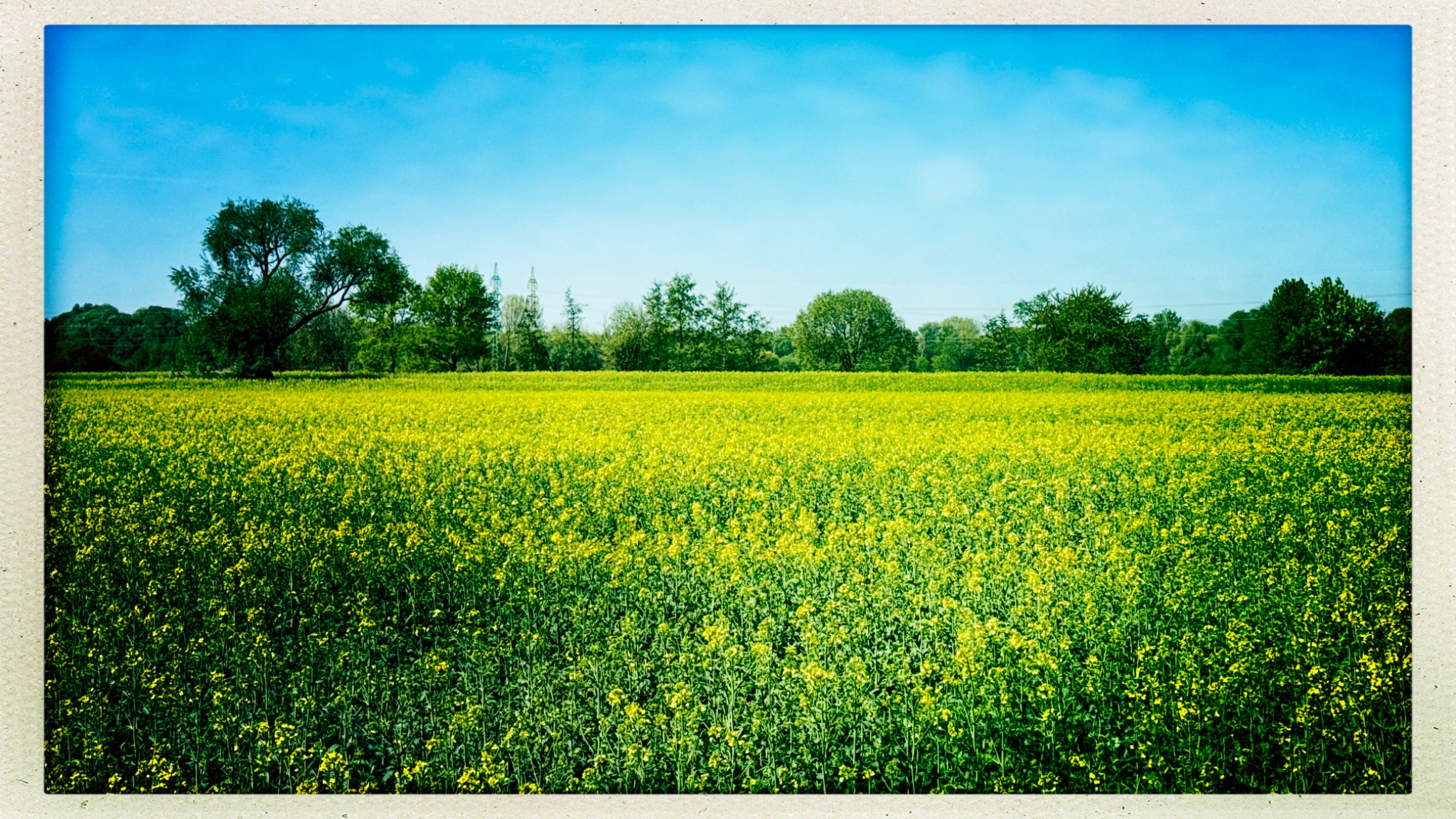 HipstamaticPhoto 767521513.728227