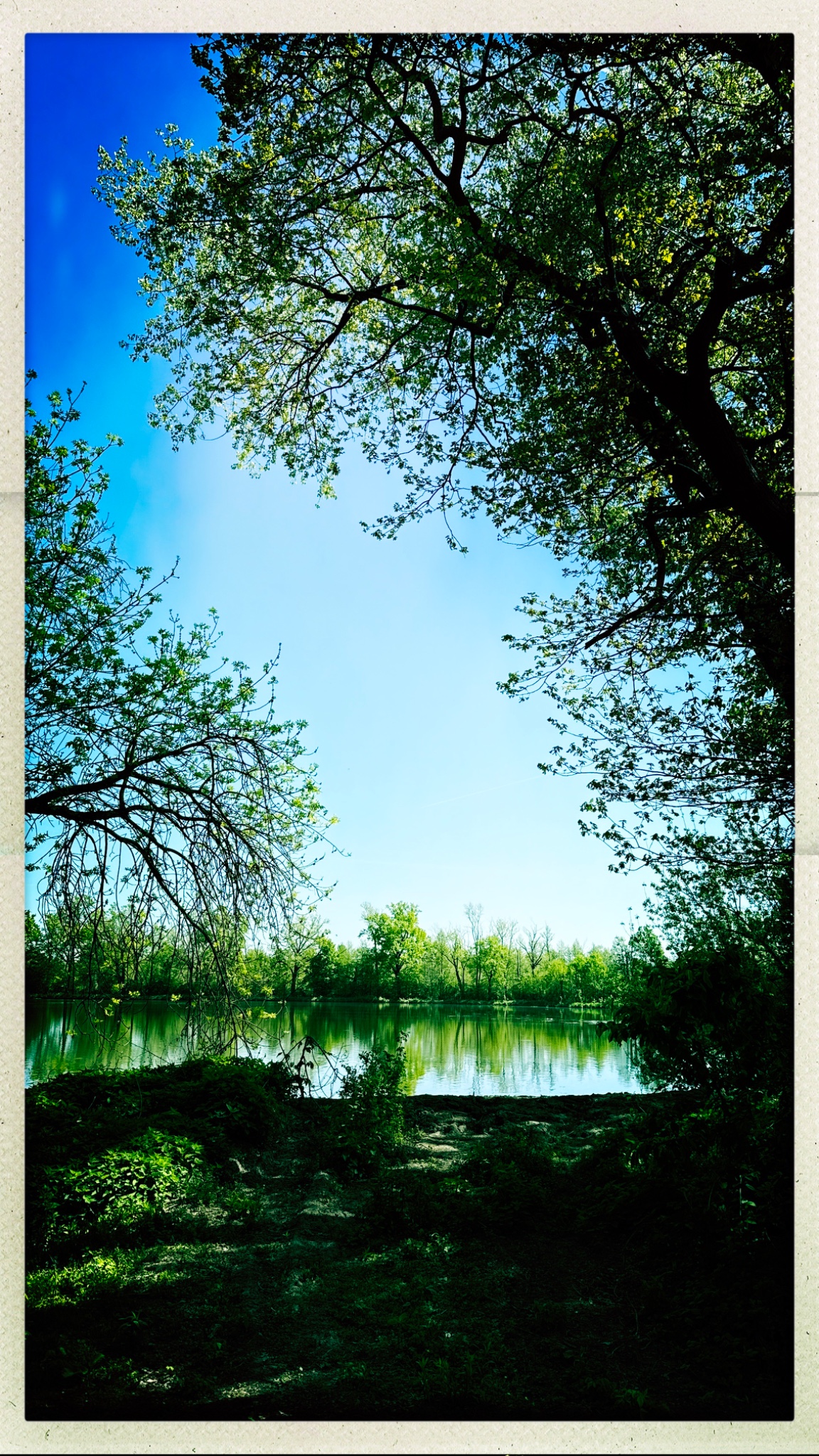 HipstamaticPhoto 767525333.210199