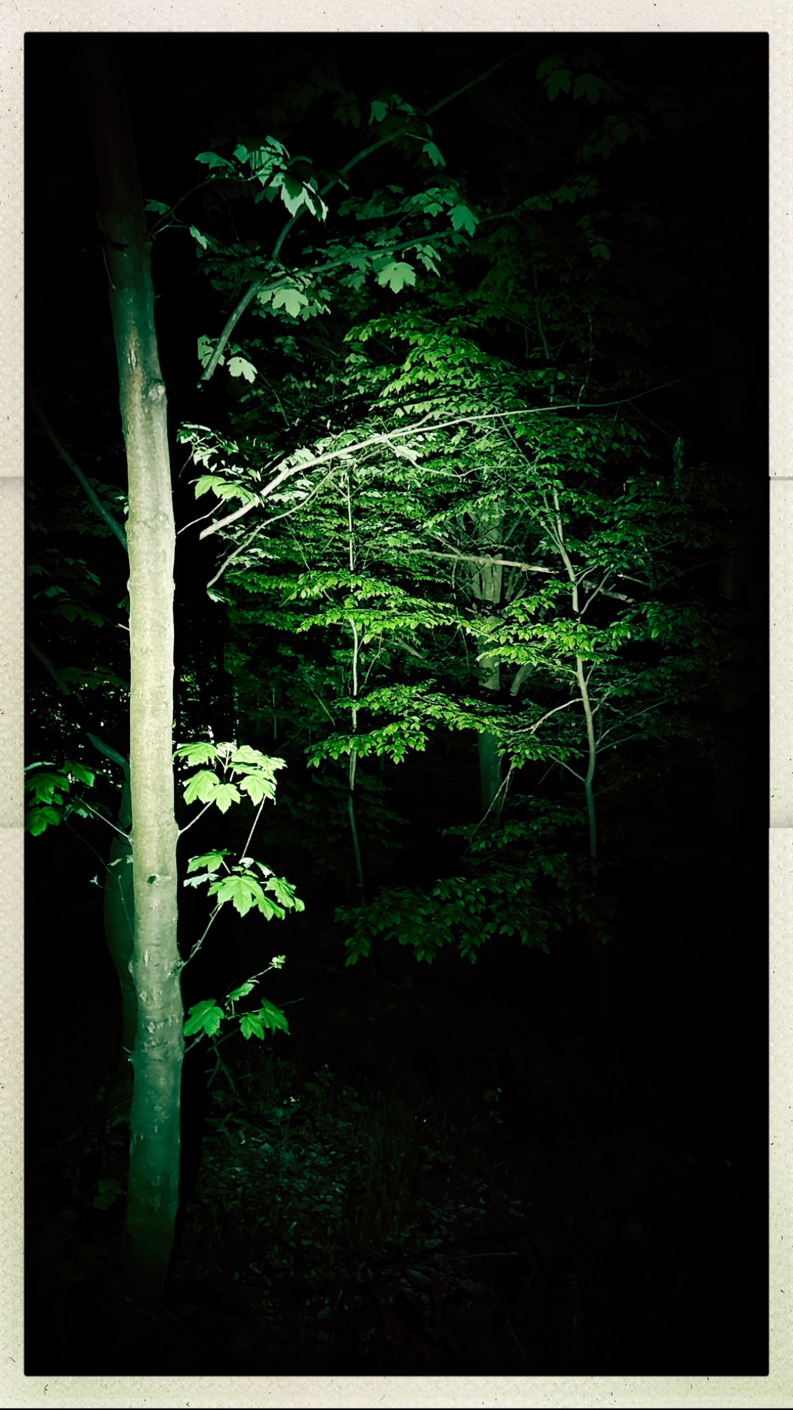 HipstamaticPhoto 768176342.089962