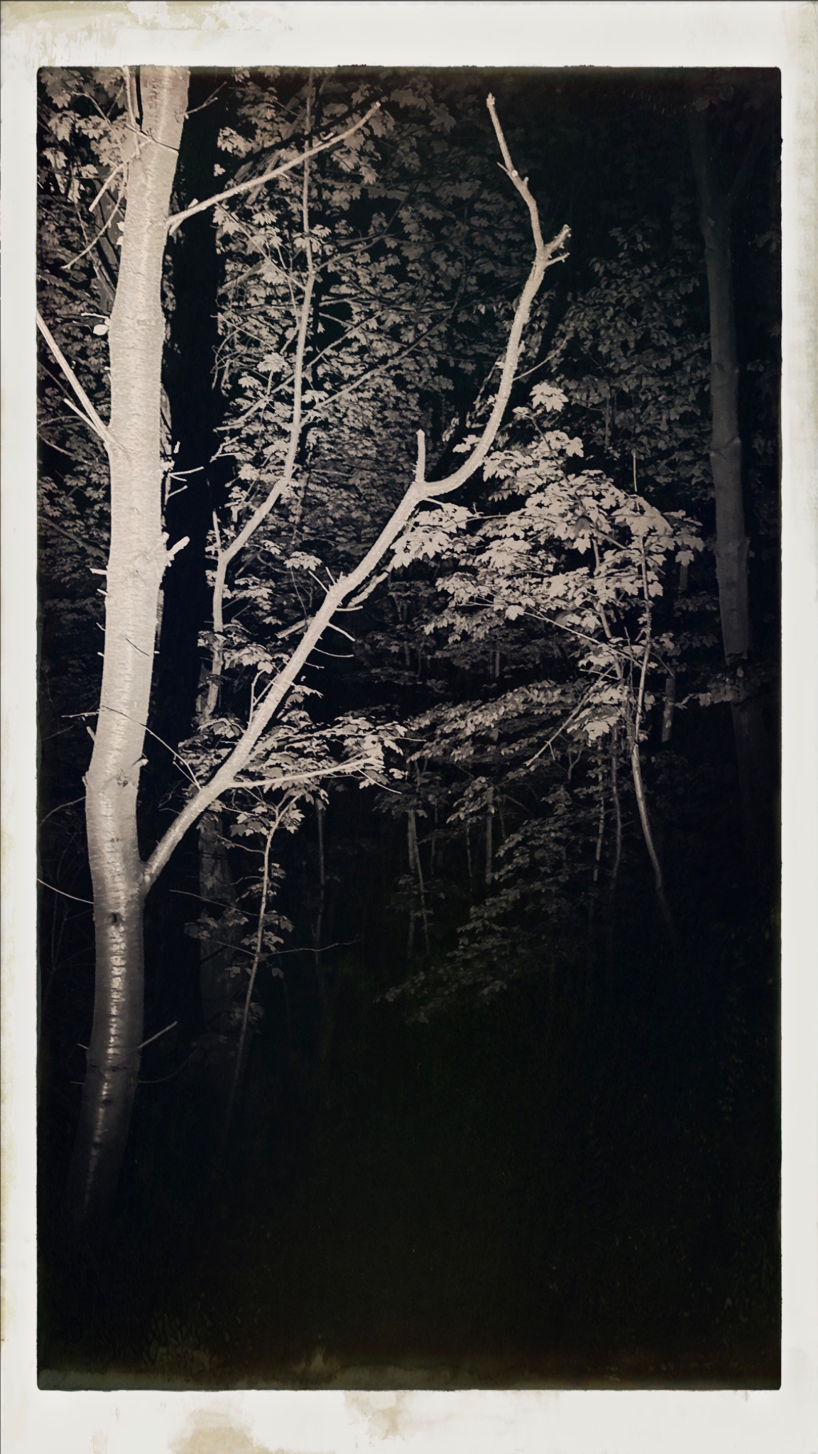 HipstamaticPhoto 768176443.431217