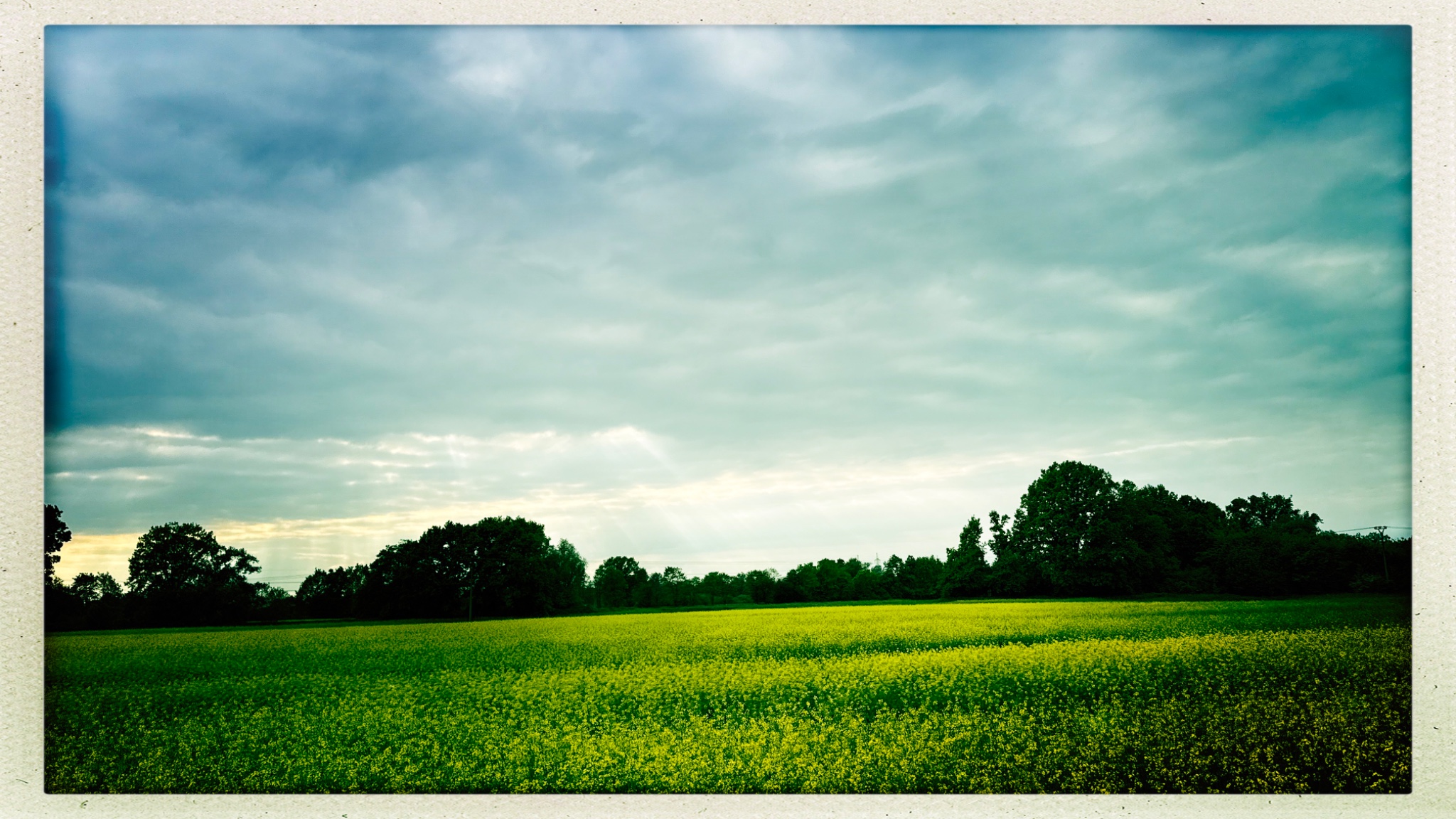 HipstamaticPhoto 768325284.417411