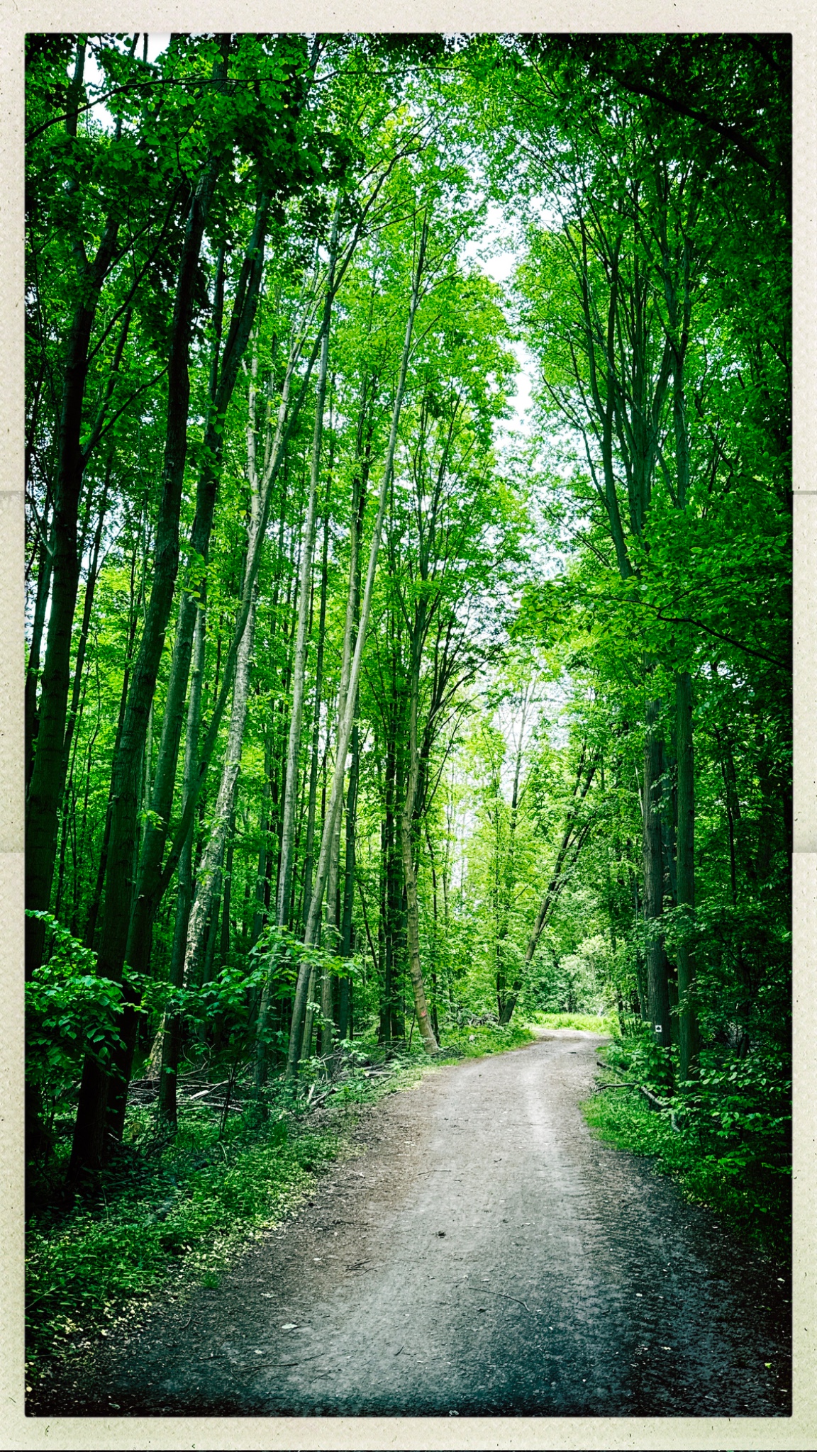 HipstamaticPhoto 768327983.871506