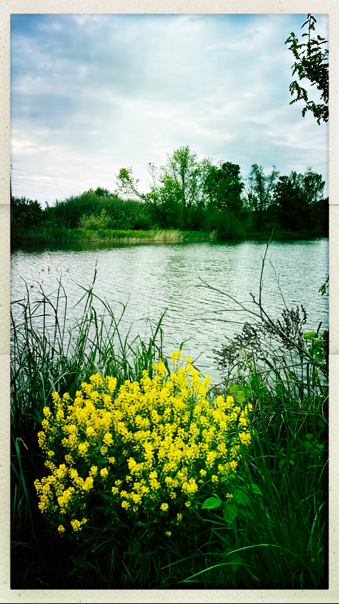 HipstamaticPhoto 768328933.800206