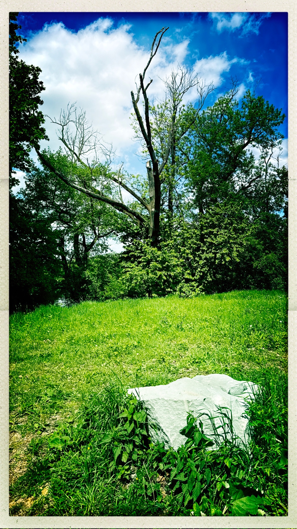 HipstamaticPhoto 768390535.495929