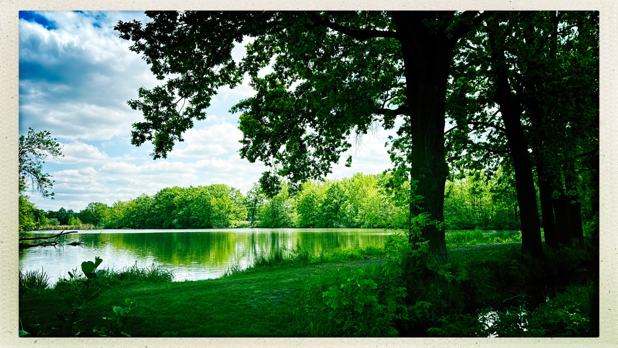 HipstamaticPhoto 768392130.027123