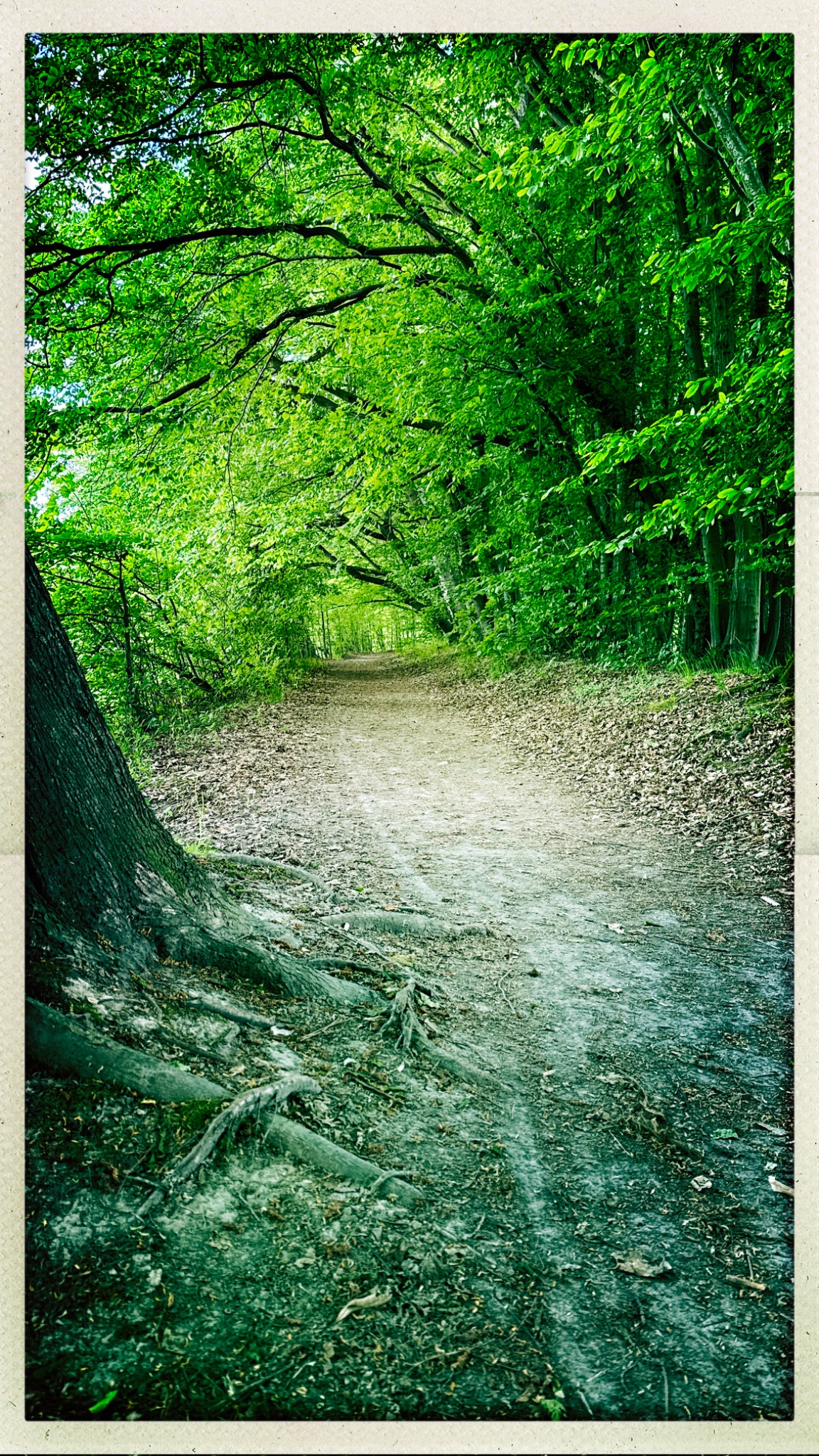 HipstamaticPhoto 768734964.552008