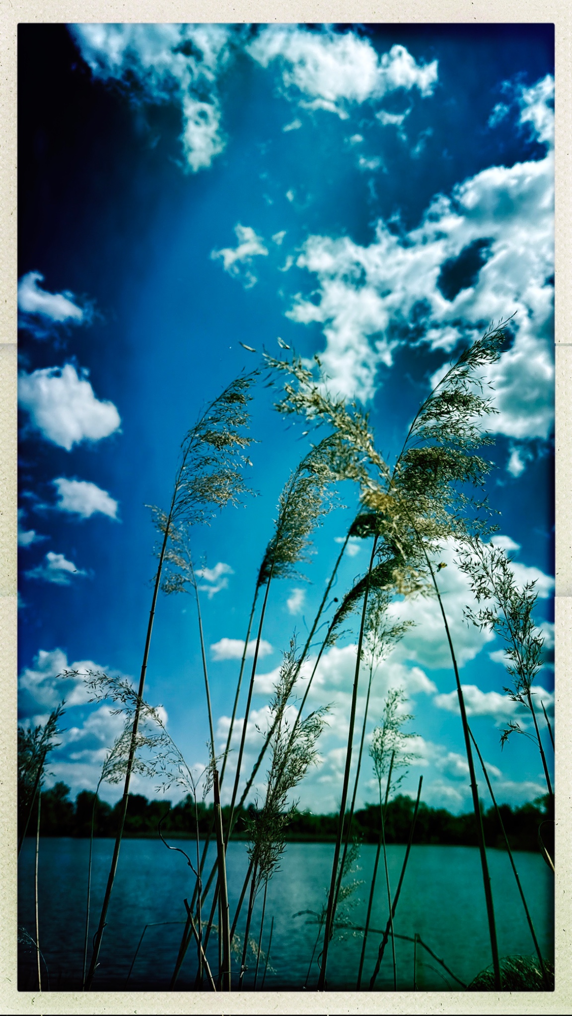 HipstamaticPhoto 768735768.939062