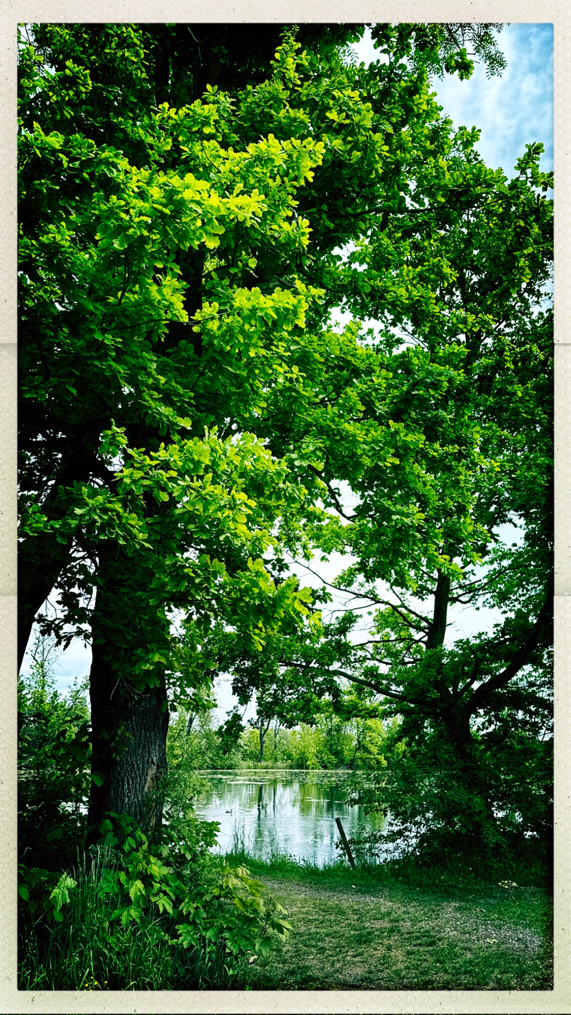 HipstamaticPhoto 768907672.134341