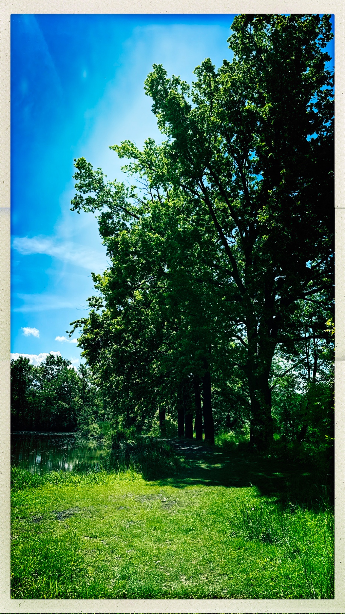 HipstamaticPhoto 769514263.236149