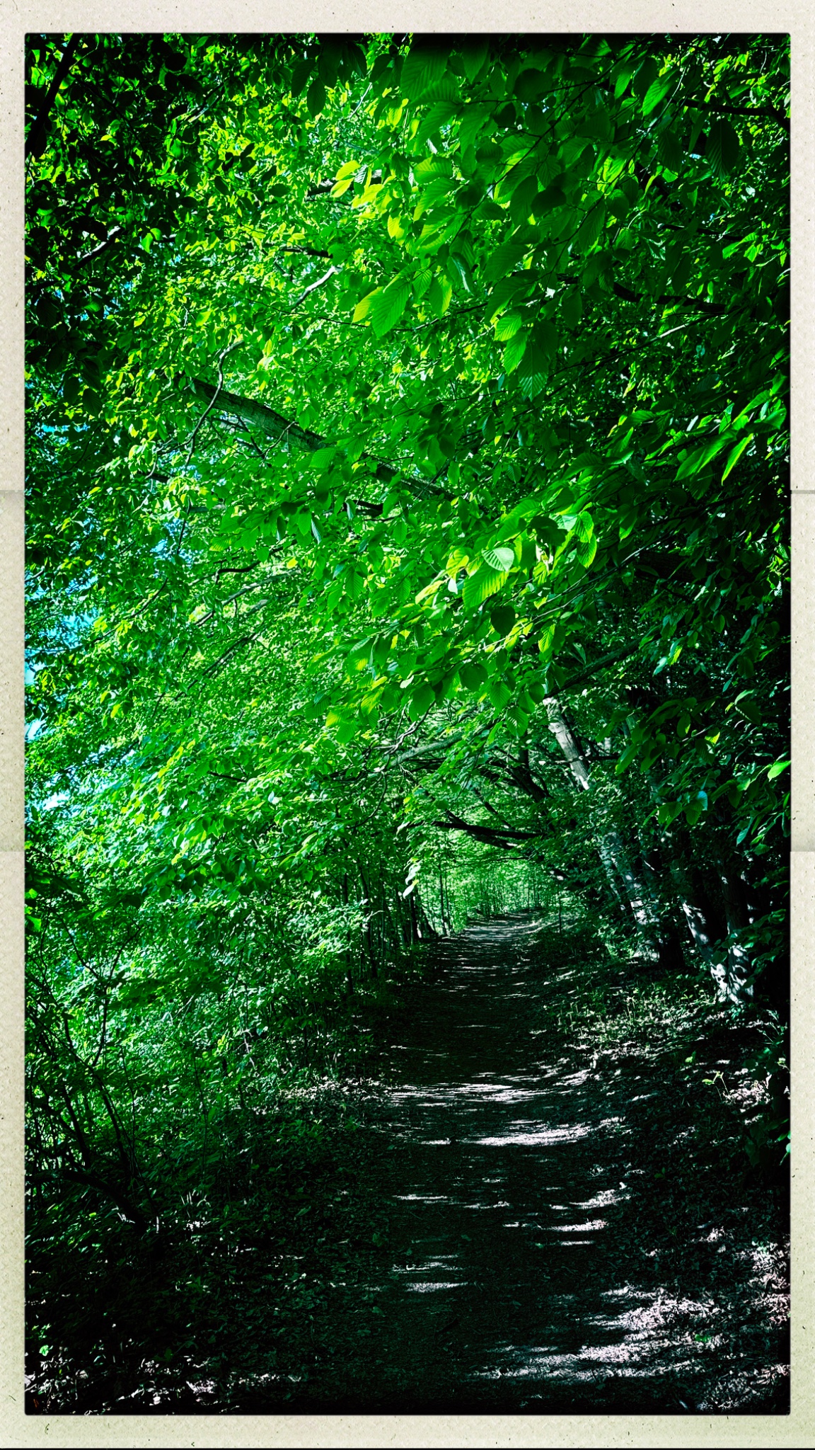 HipstamaticPhoto 769884170.369312