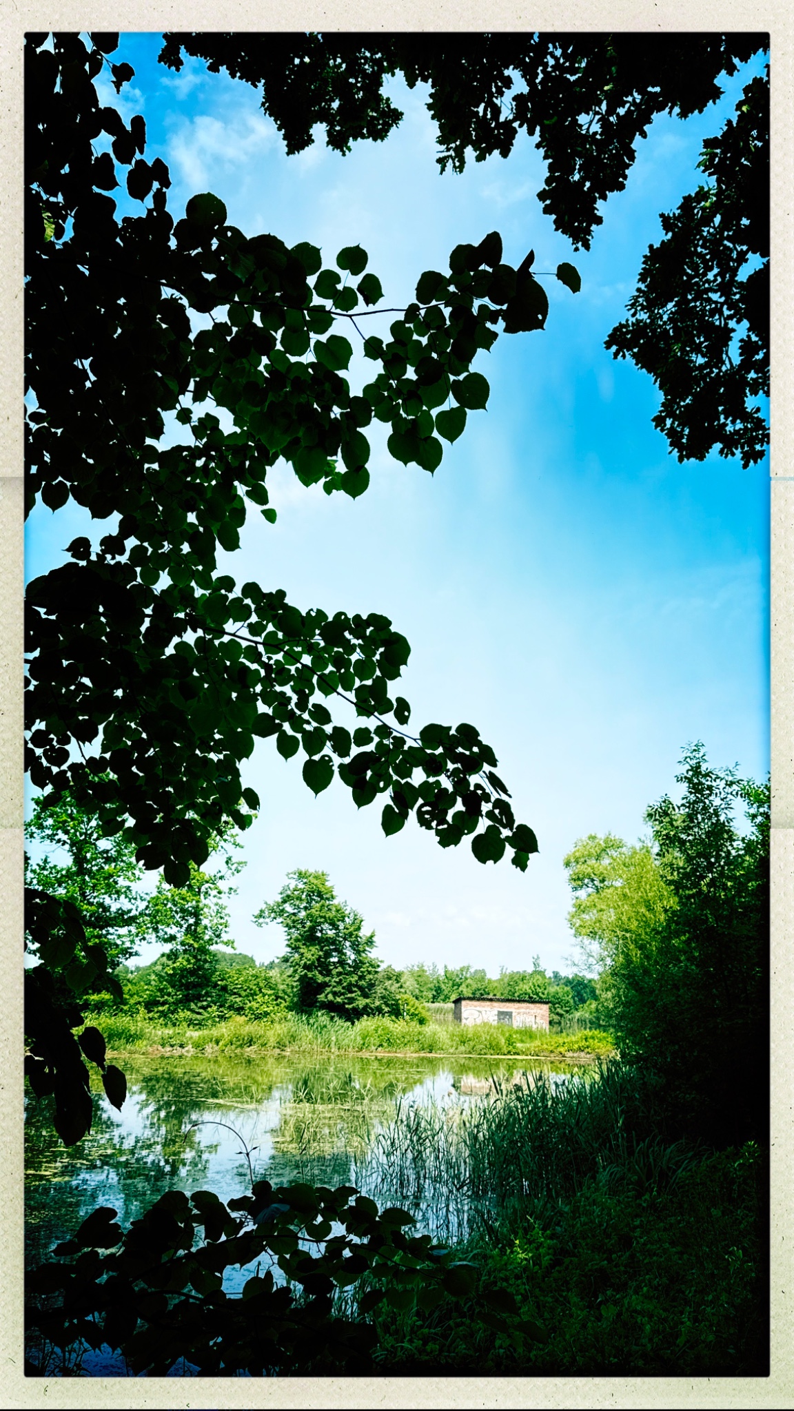 HipstamaticPhoto 771237683.694088