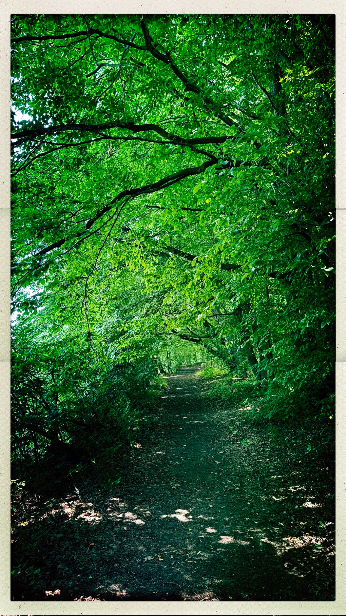 HipstamaticPhoto 771238955.442369