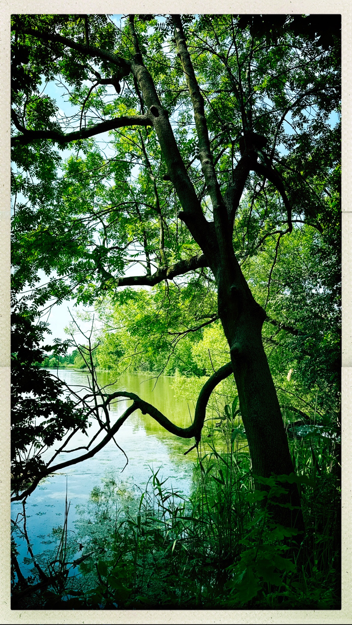 HipstamaticPhoto 771240366.205083