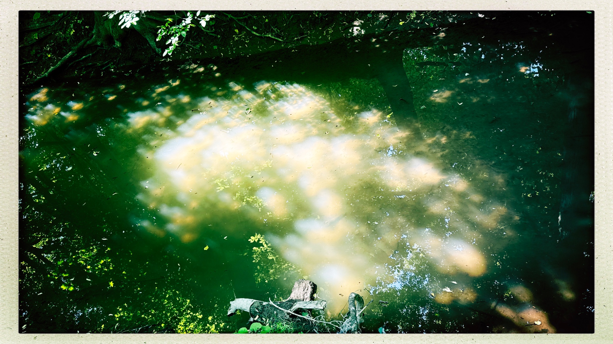 HipstamaticPhoto 771586783.653875