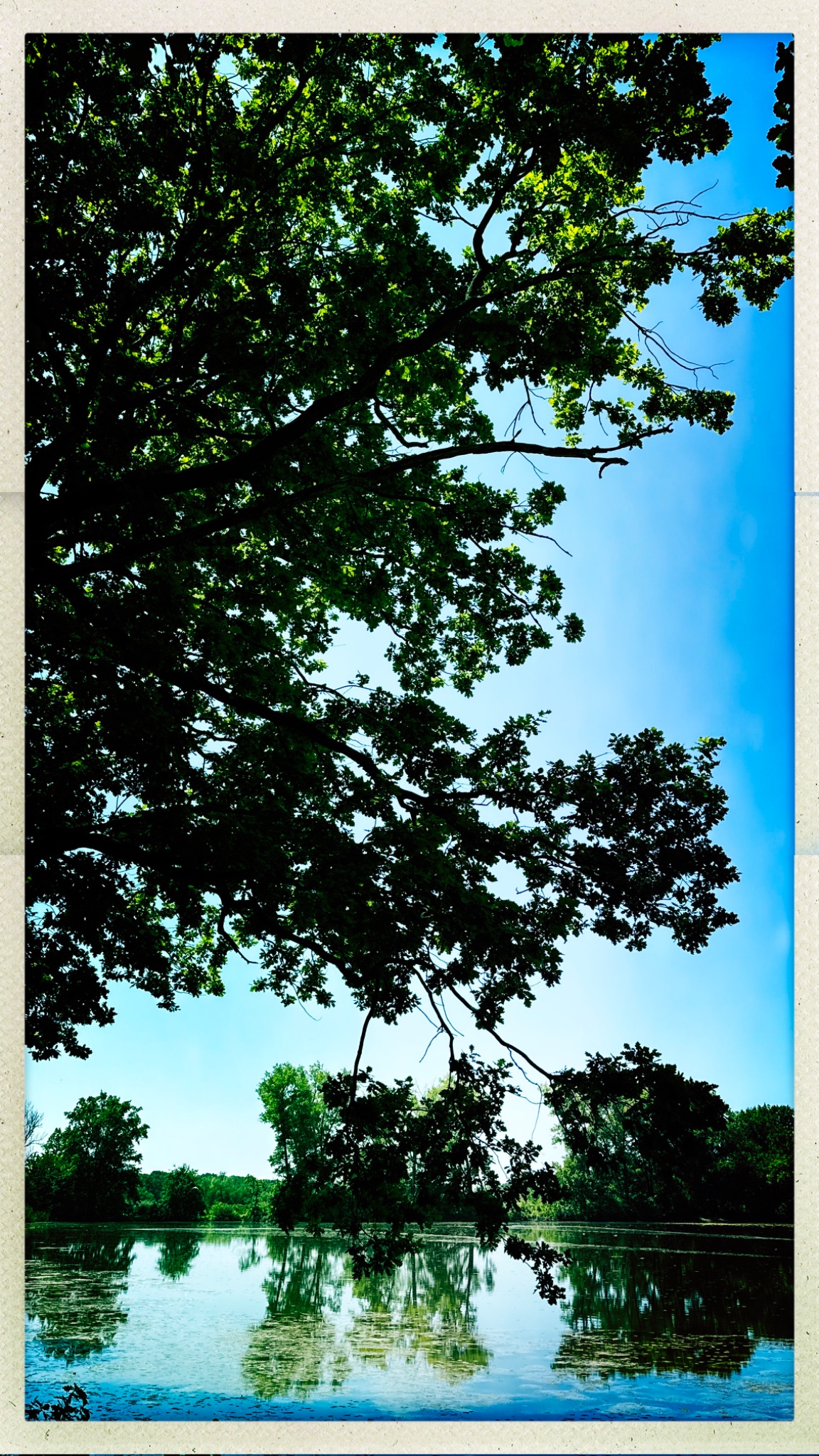 HipstamaticPhoto 771588239.797062